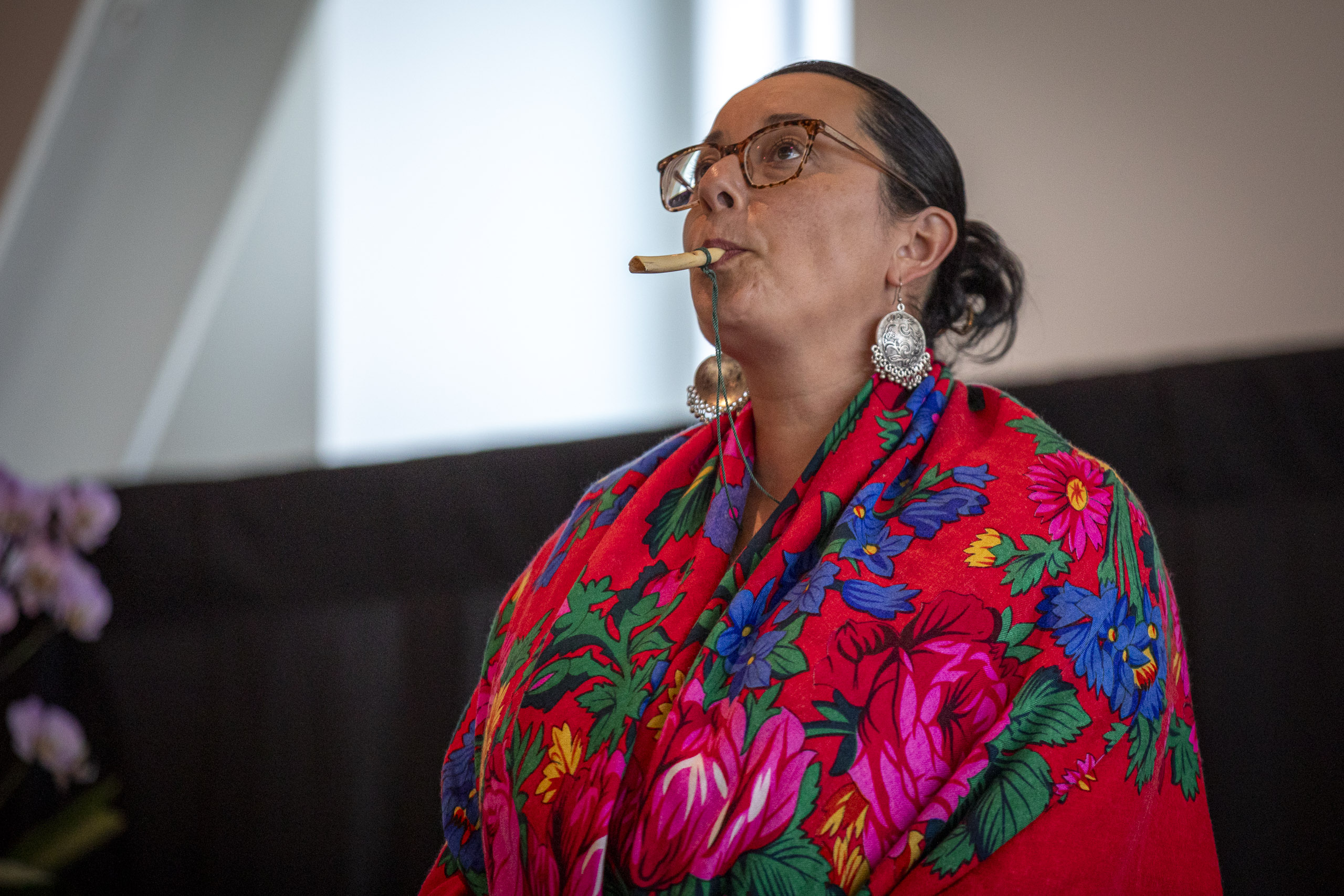 20250727 172250 RD4 8357