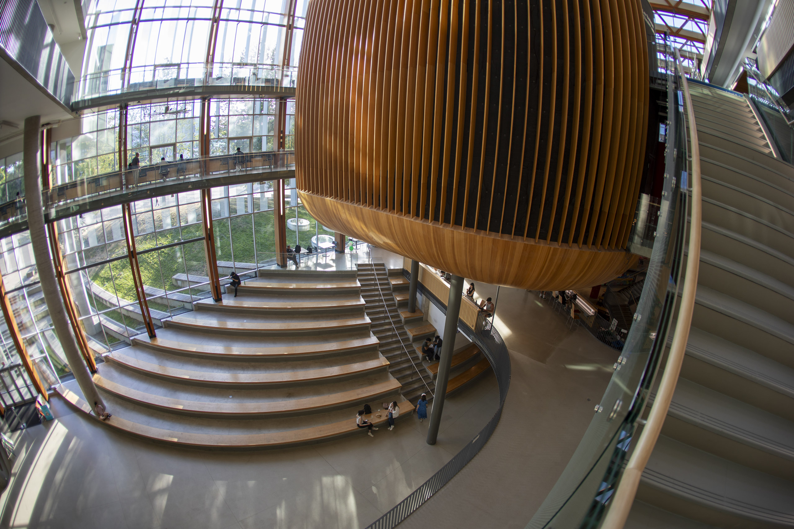 20250728 184552 RD4 9431