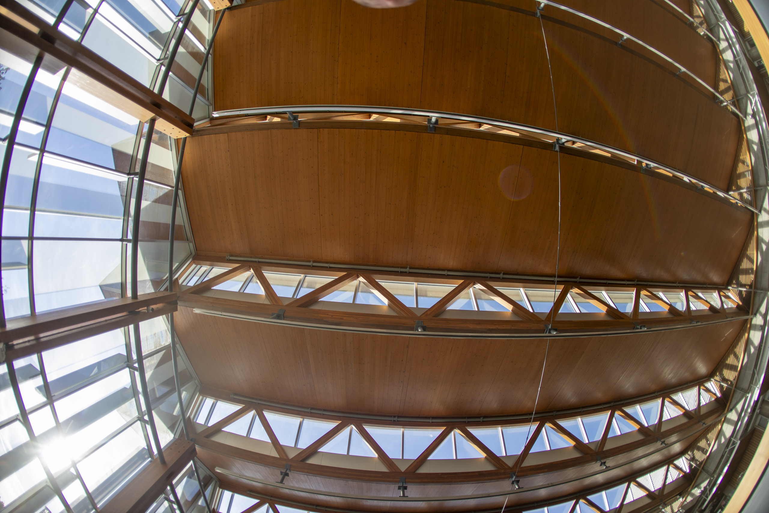 20250728 184746 RD4 9452