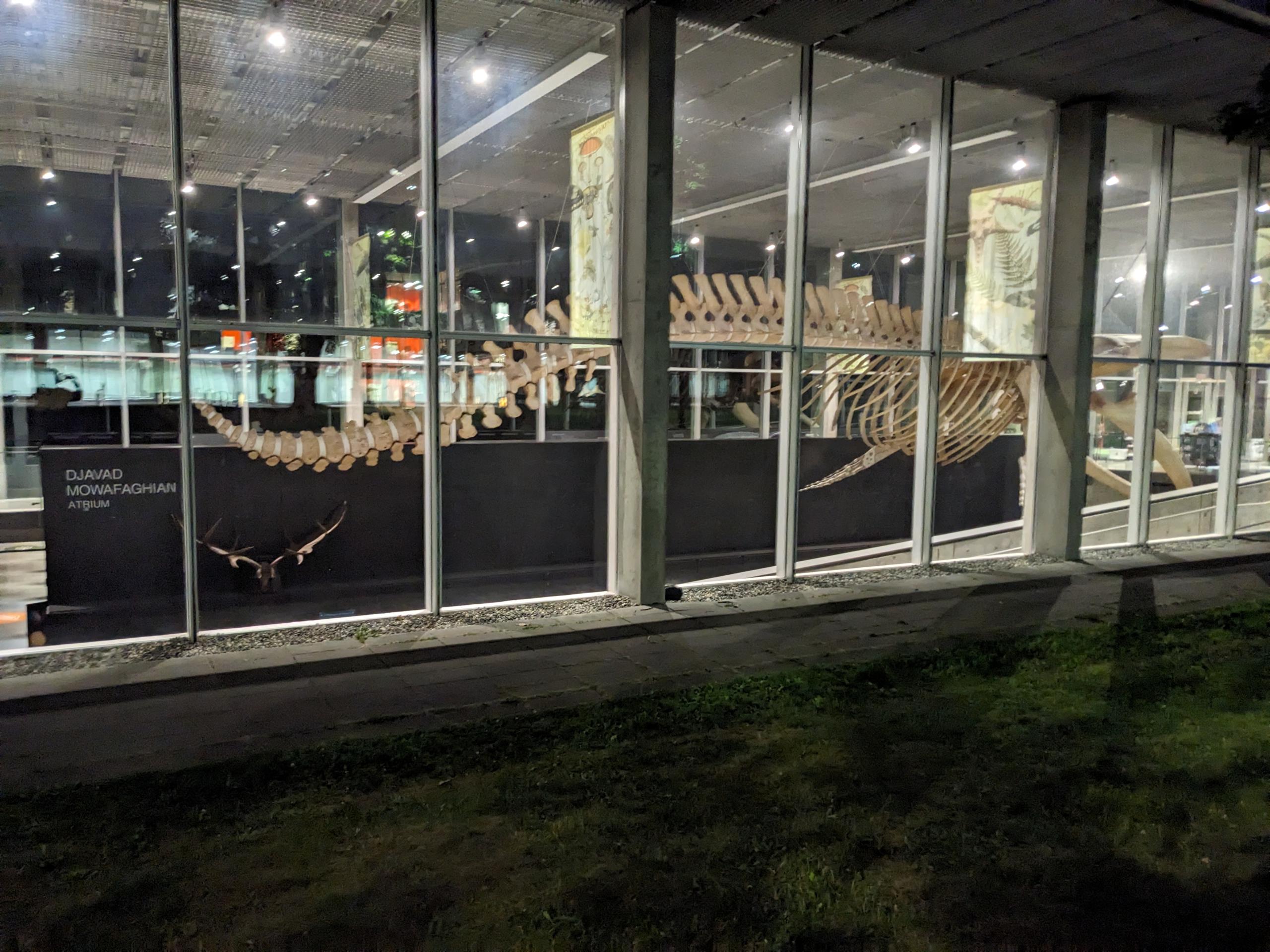 PXL 20250730 050330259