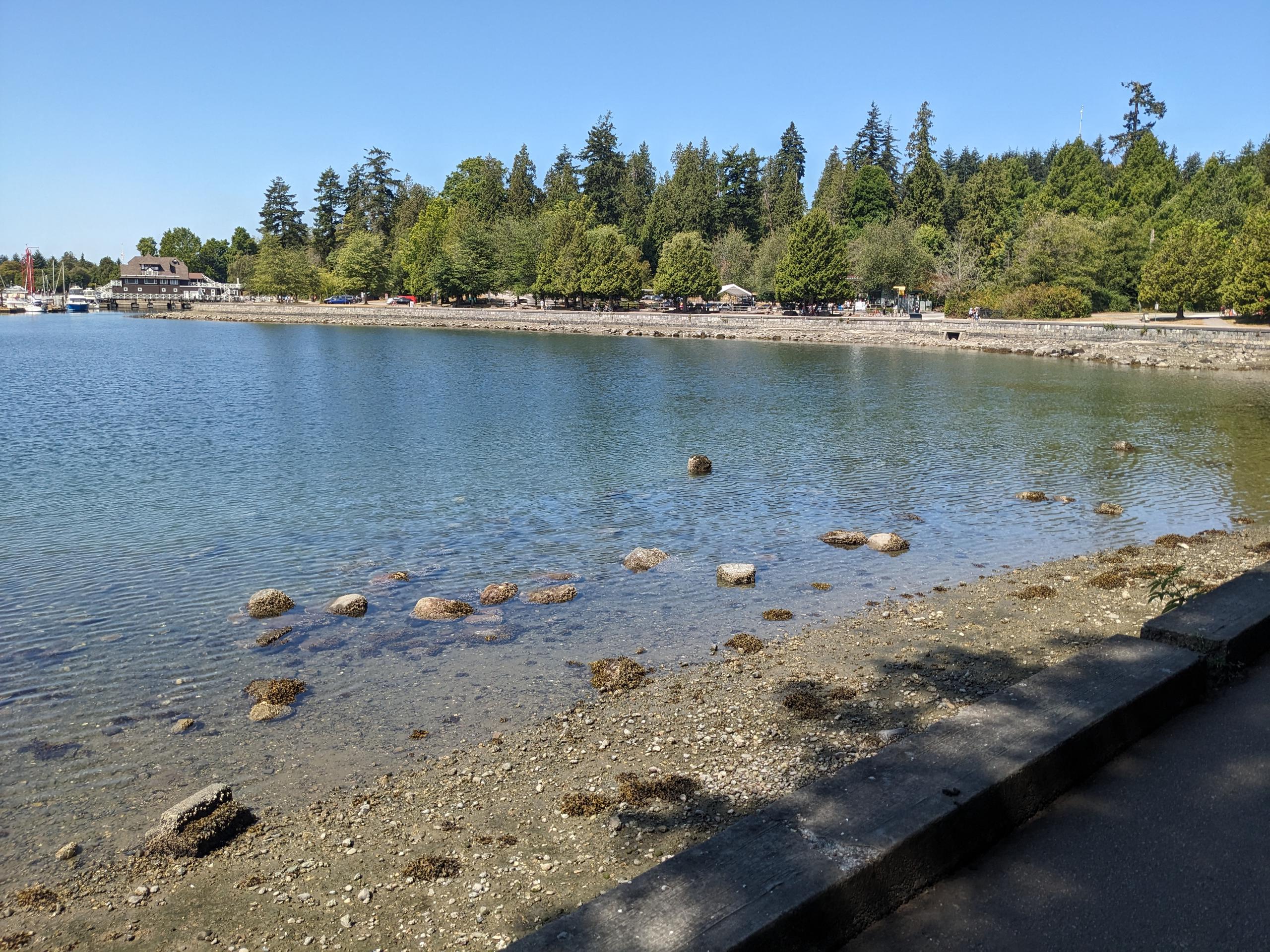 PXL 20250730 185850628