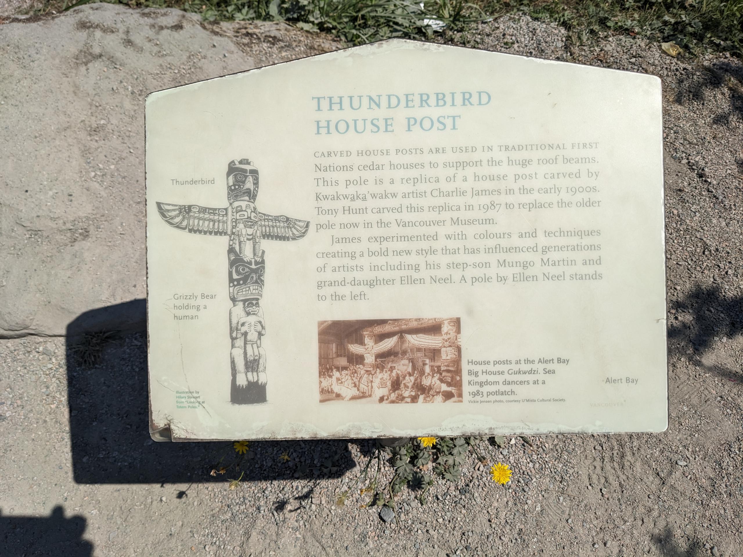 PXL 20250730 192548718