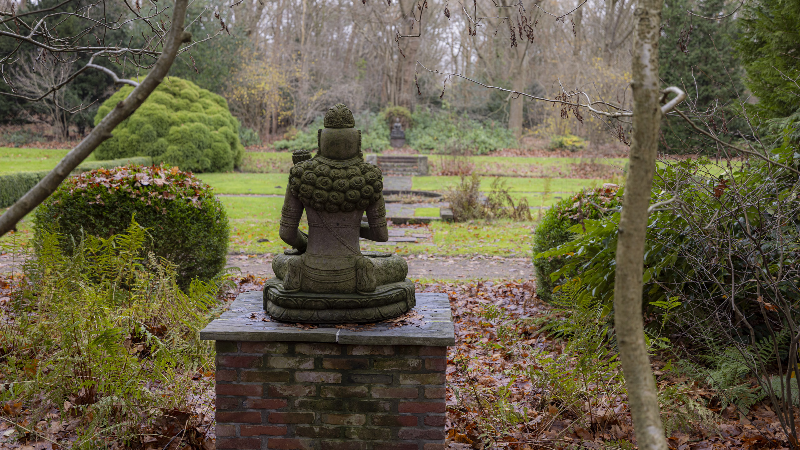 20241206131735 R5D 7787