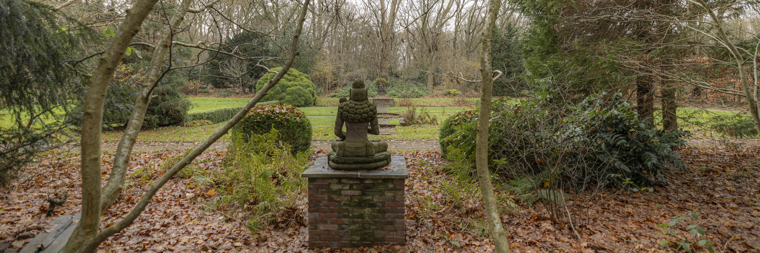 20241206131747 R5D 7794