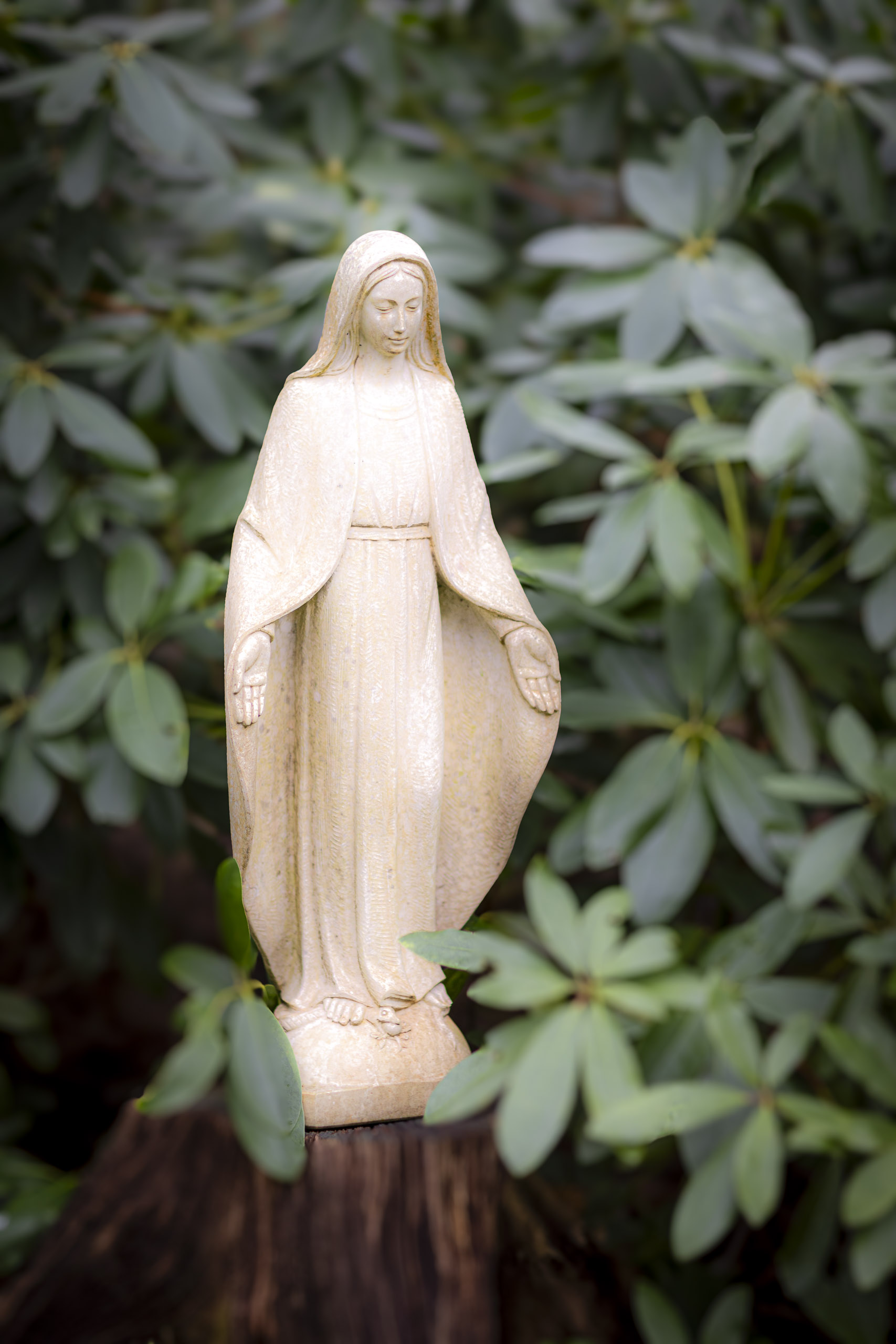 20241206132435 RD4 5761