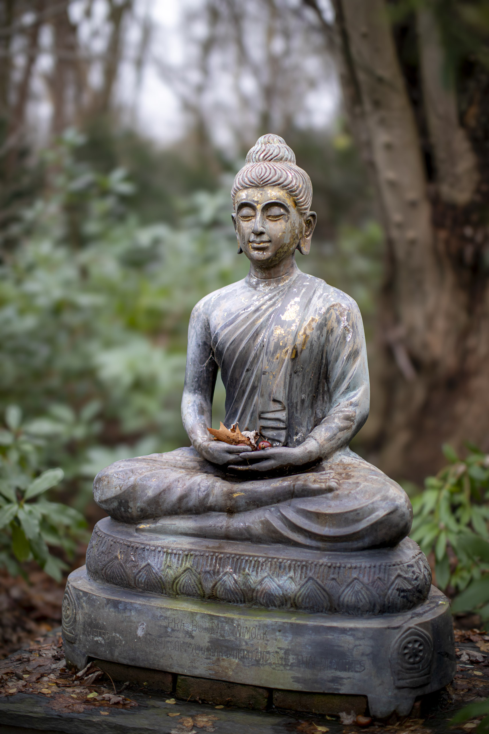 20241209092138 RD4 5795