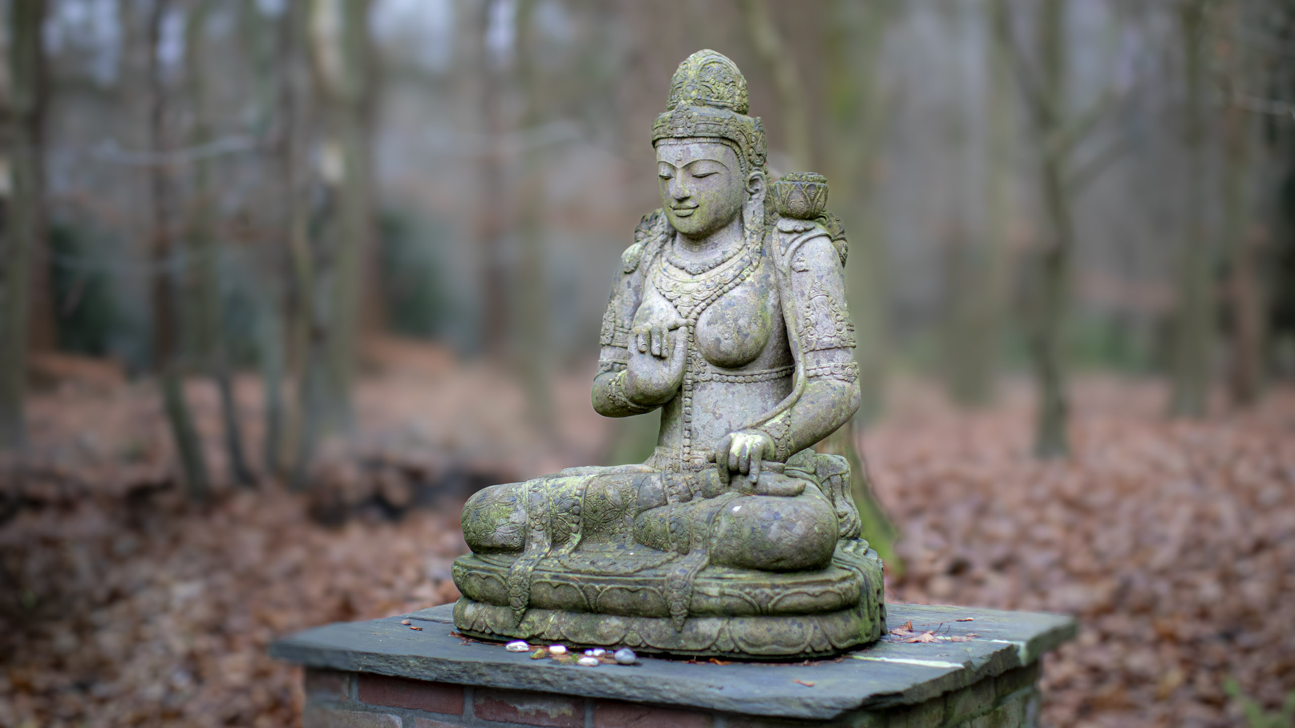 20241209092331 RD4 5810