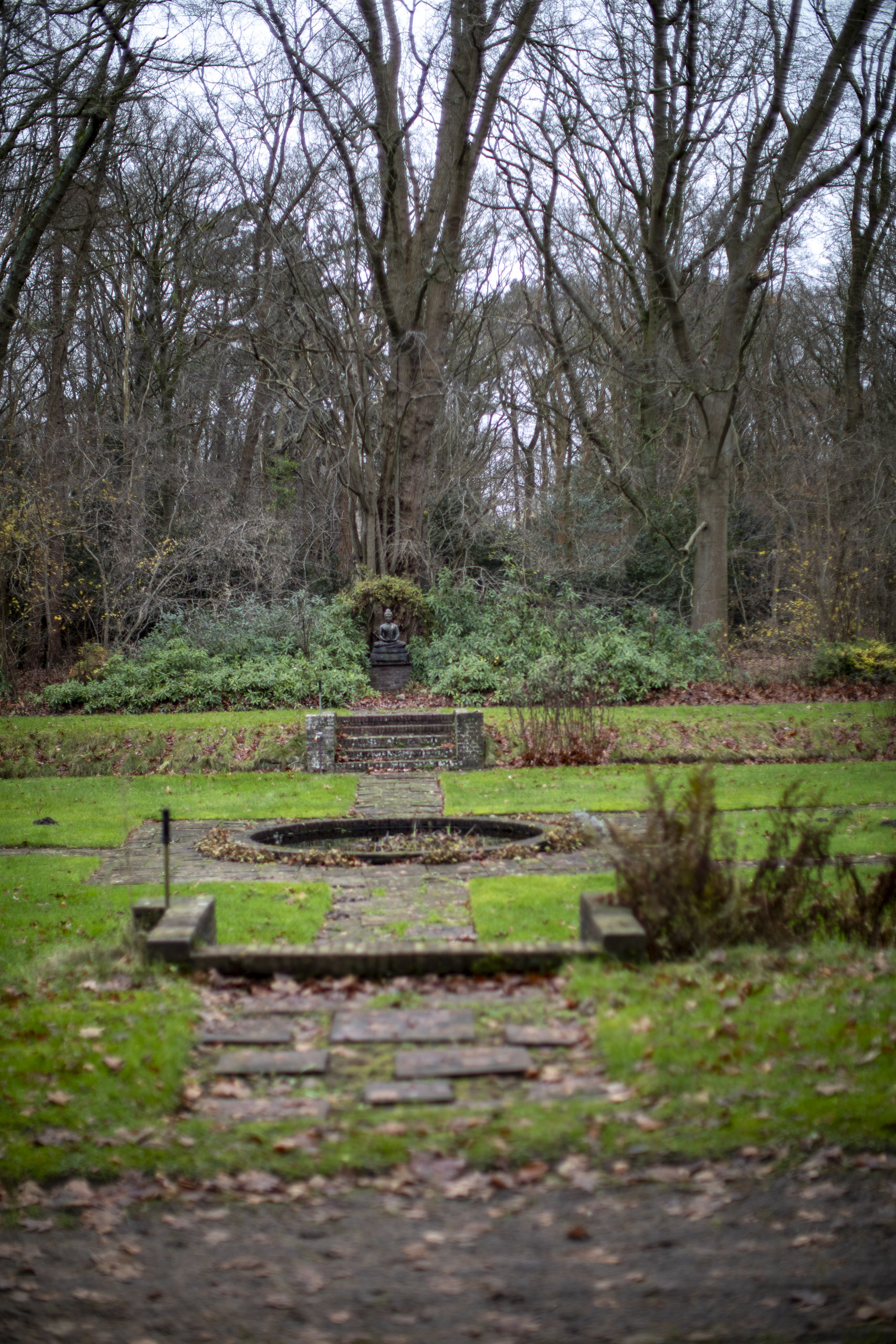 20241209092423 RD4 5812