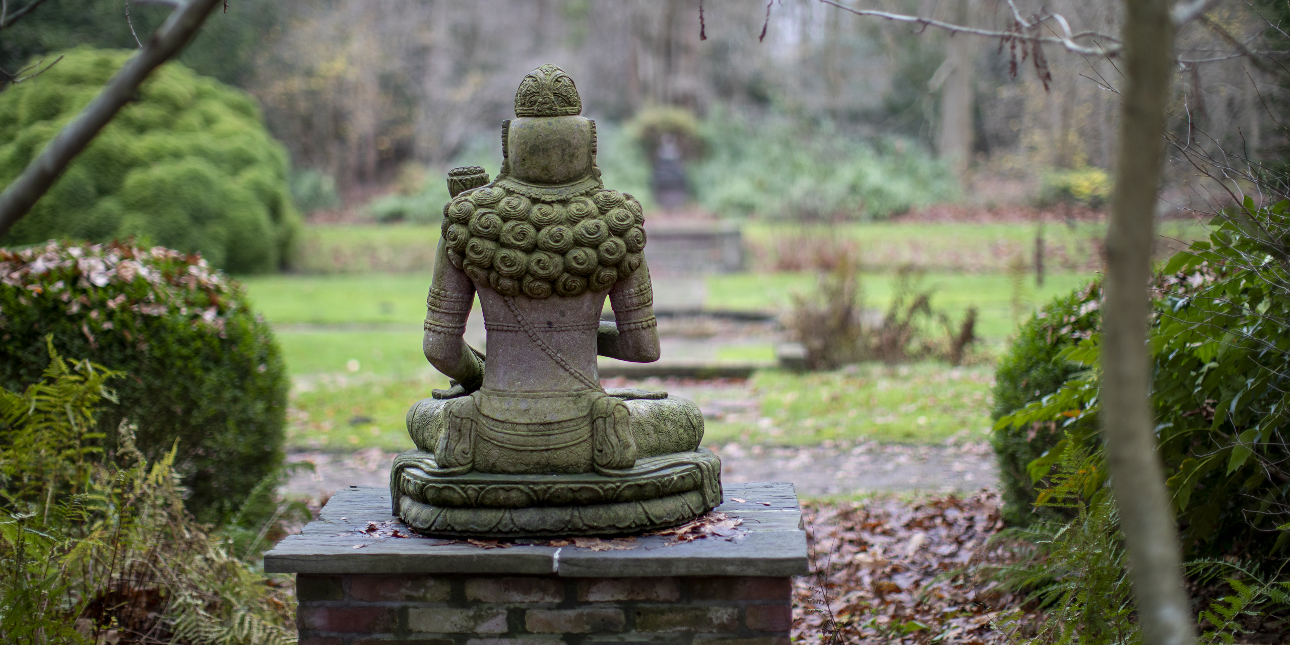 20241209092535 RD4 5824