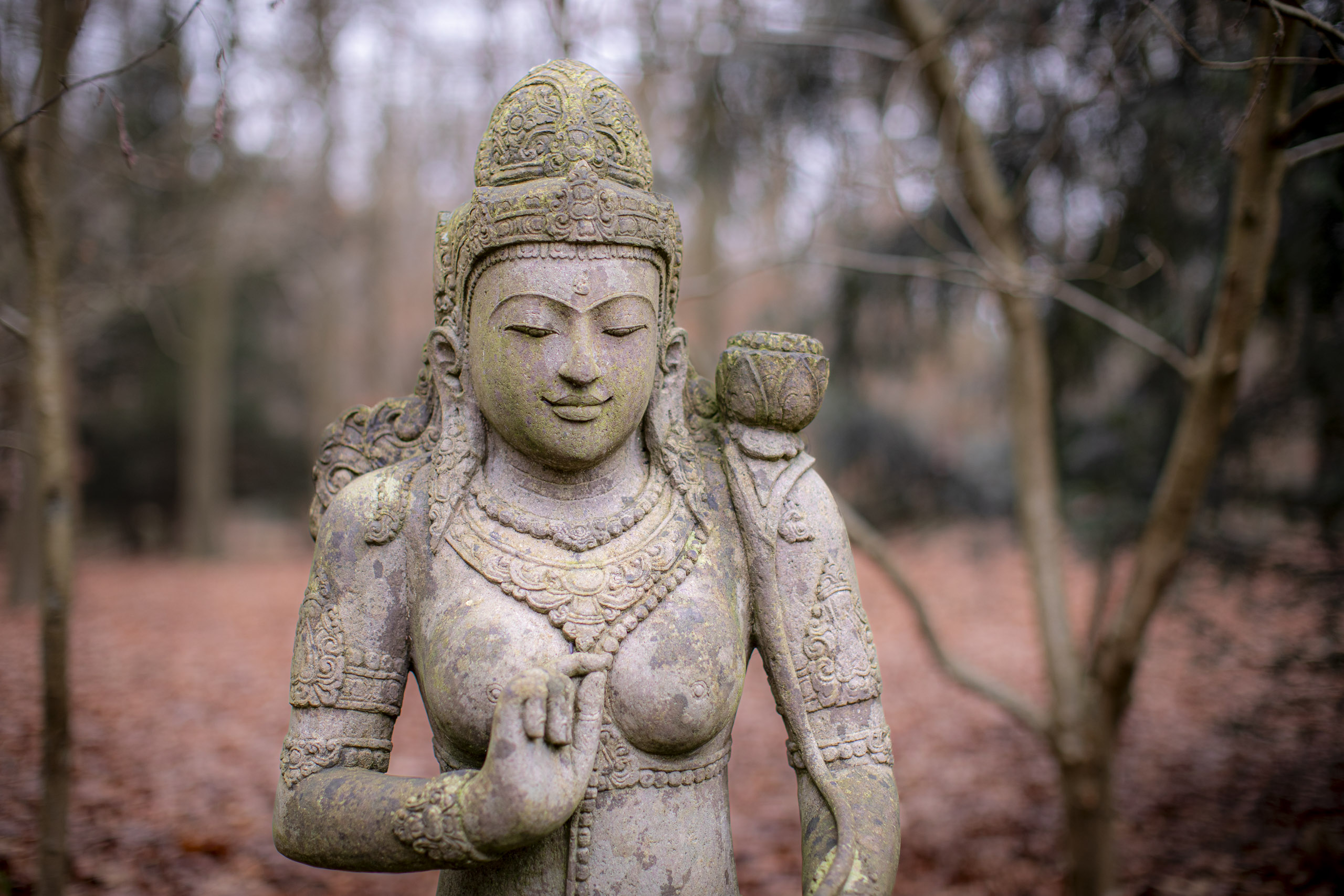 20241209092614 RD4 5833