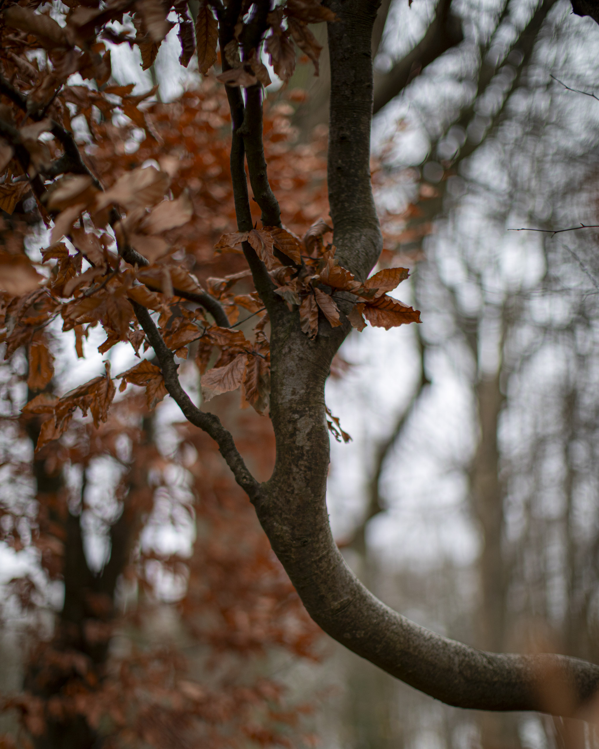 20241209092913 RD4 5869