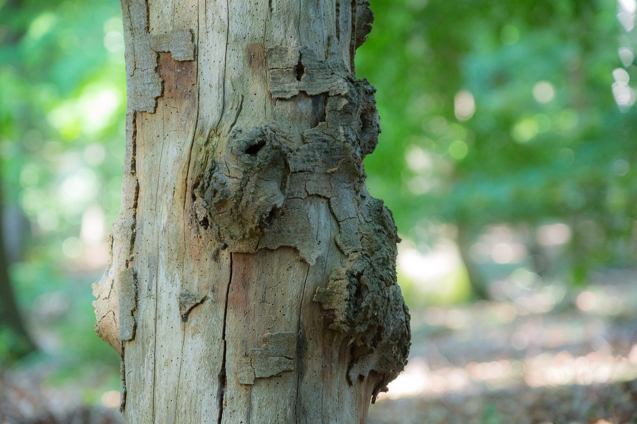 20130615193006 29524