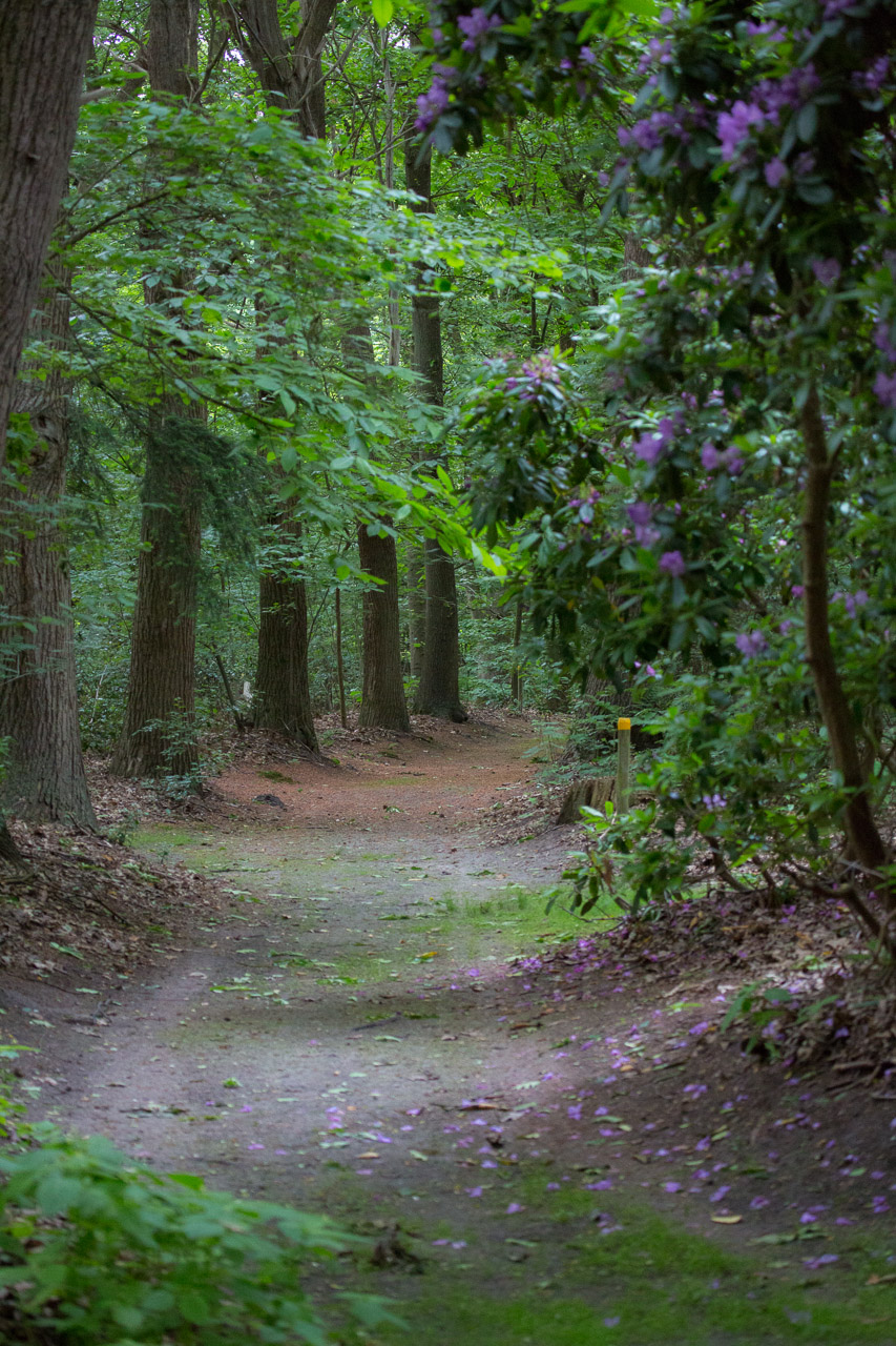 20130616194300 29639