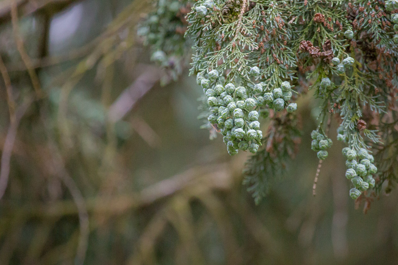 20130616203313 29760