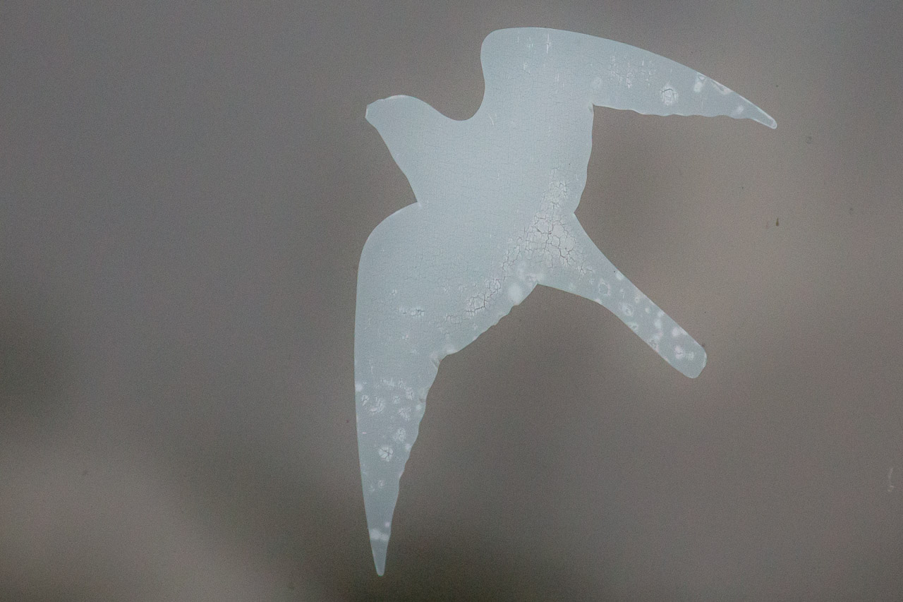 20130616205606 29835