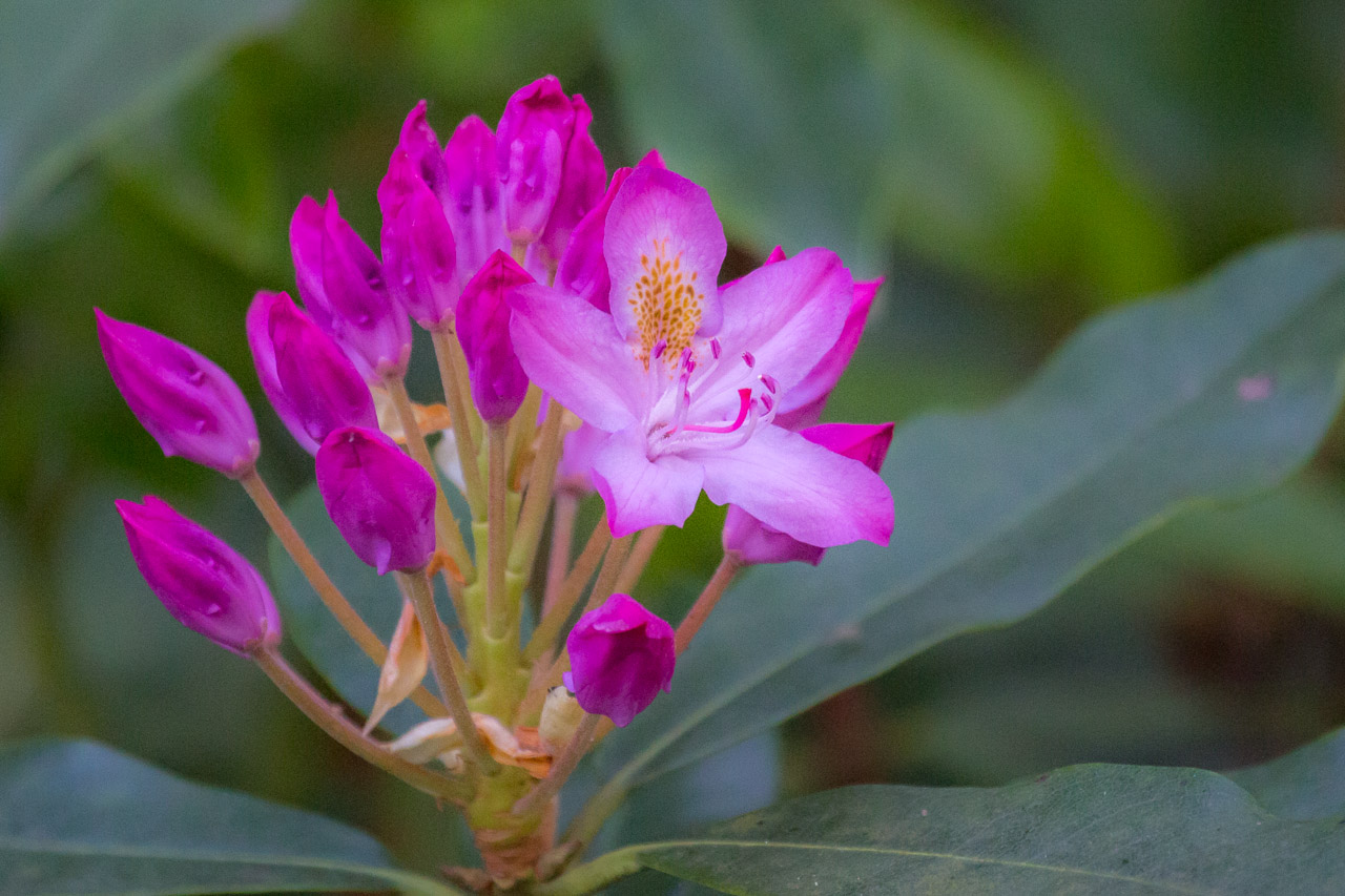 20130616205816 29839