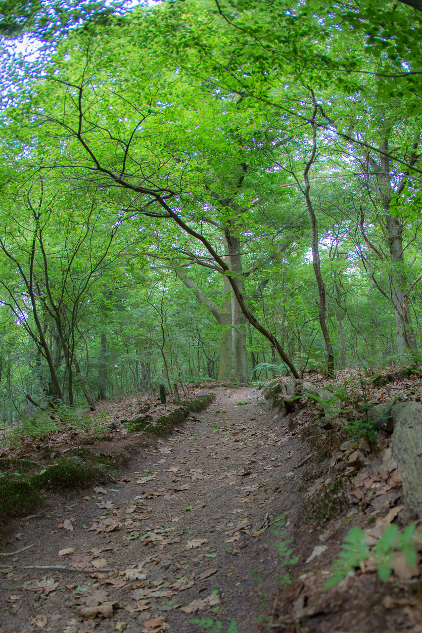 20130618192414 20962