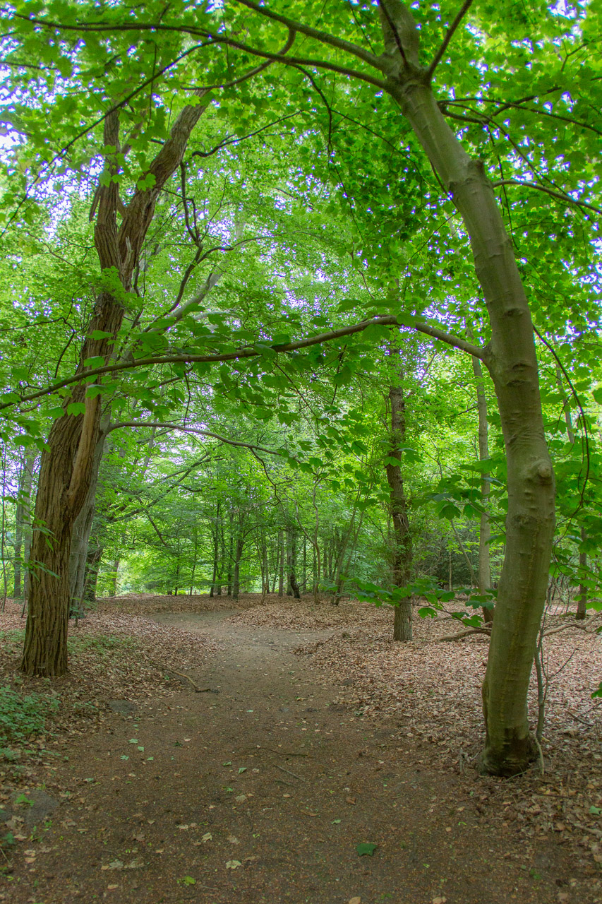 20130618192809 20976