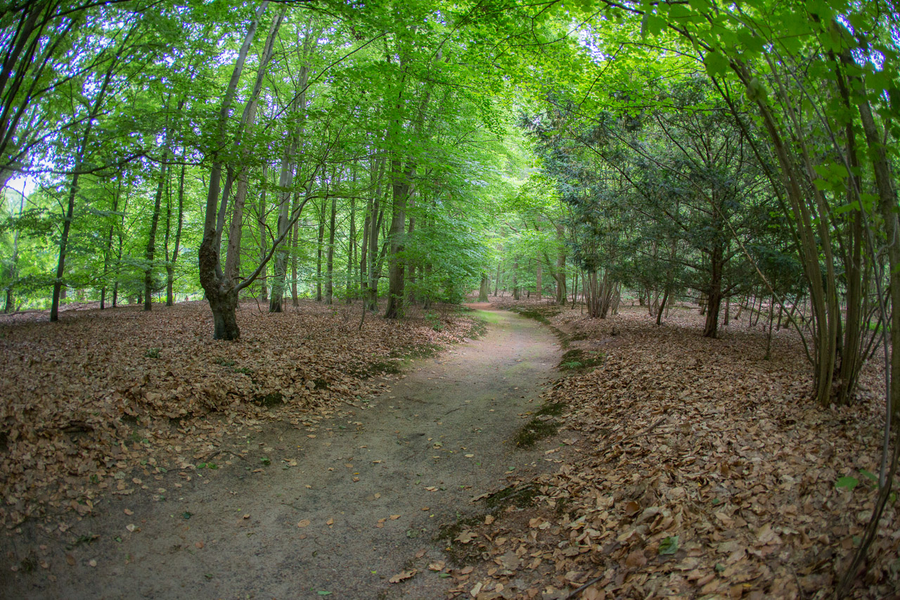 20130618192838 20978