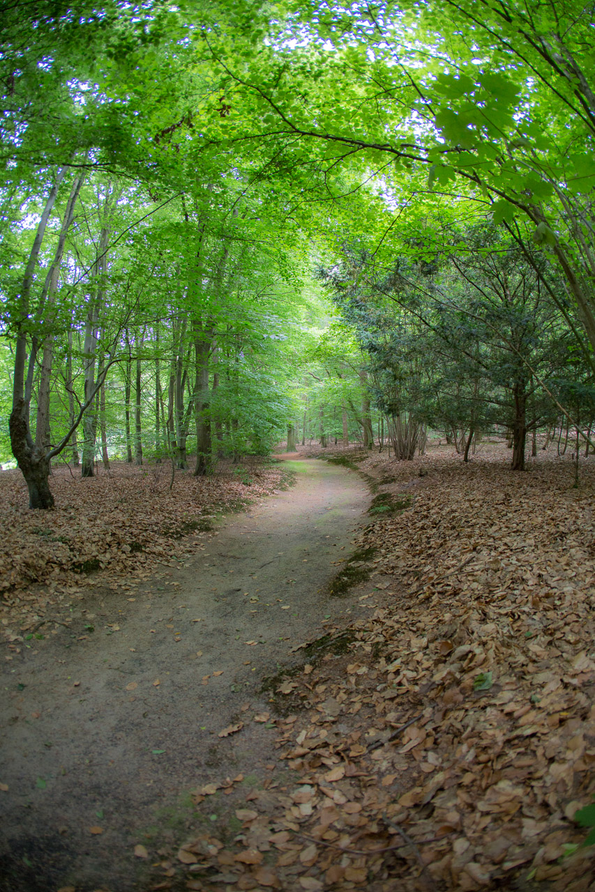 20130618192847 20982