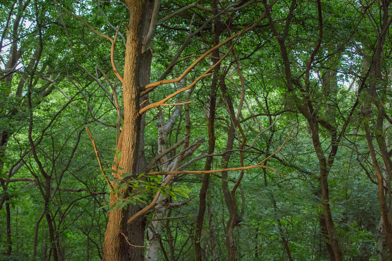 20130619205715 21381