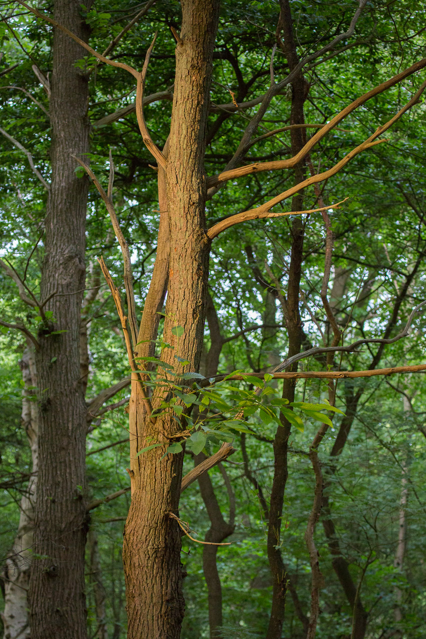 20130619205742 21385