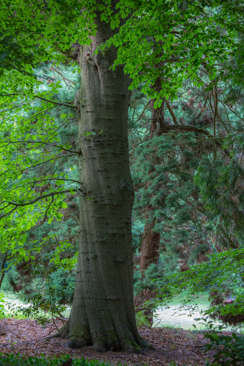 20130619210648 21464