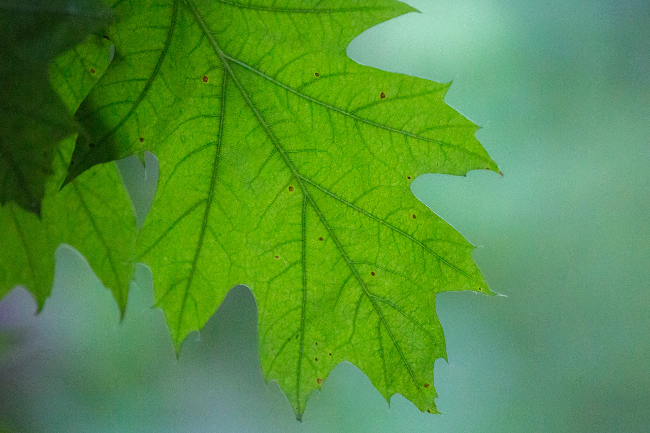 20130619212302 21605