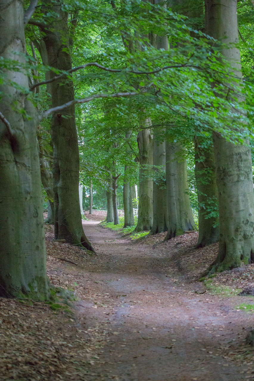 20130619212725 21641