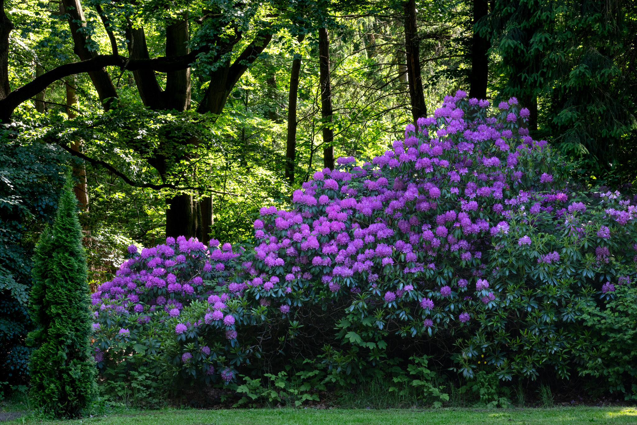 20230602165317 011032