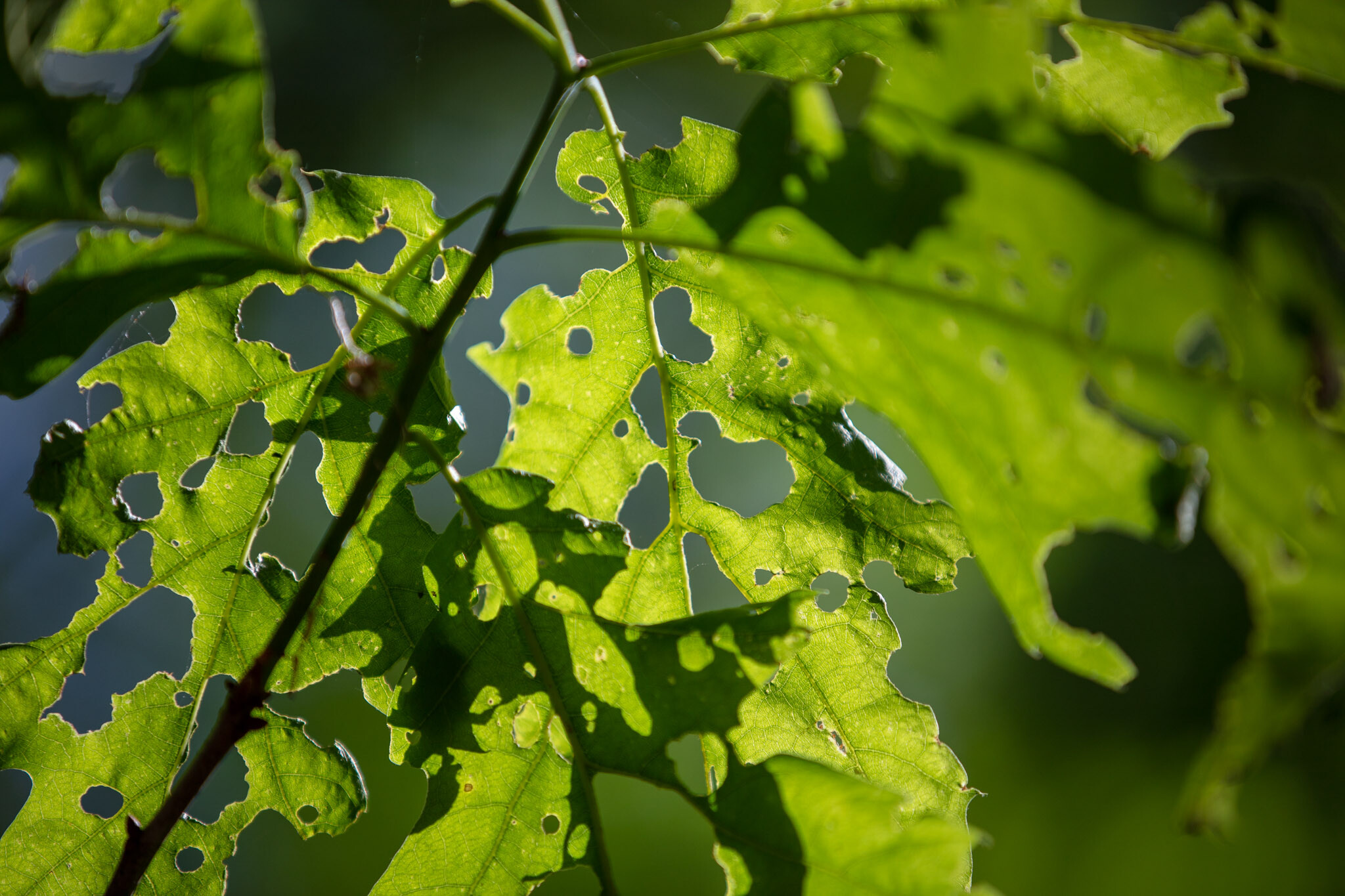 20230602170552 011063