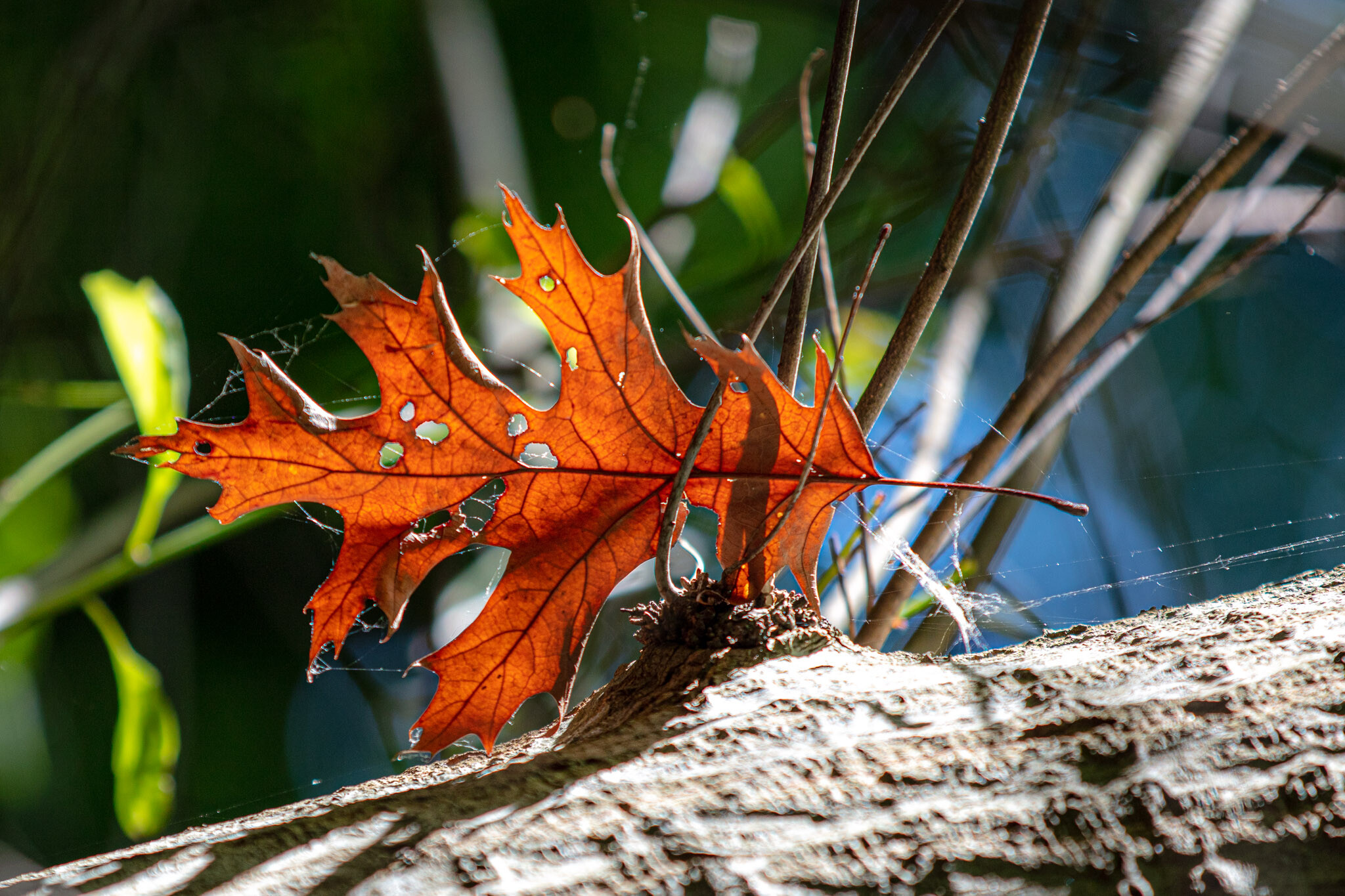 20230602170614 011064