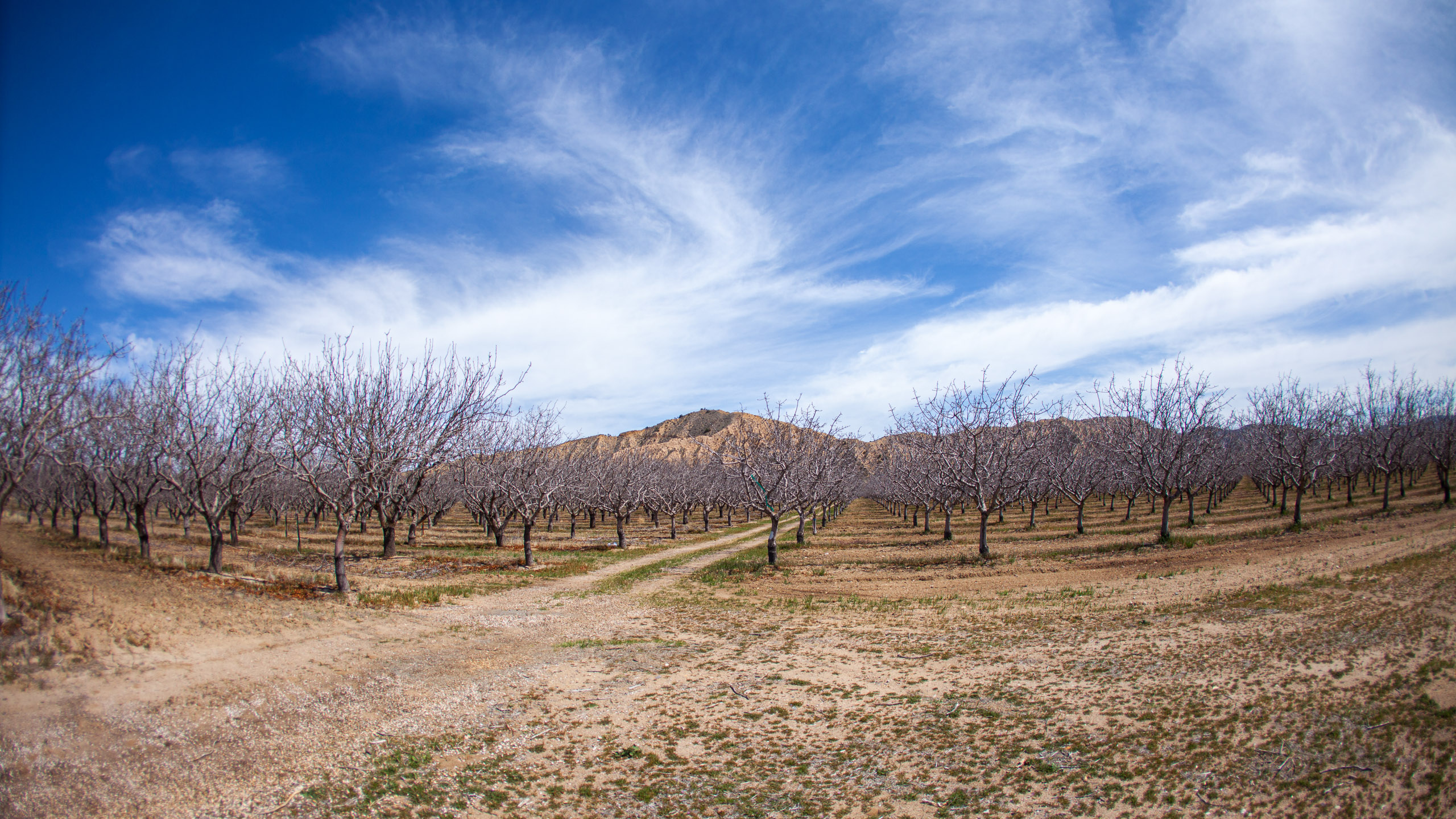 Krotona Institute of Theosophy