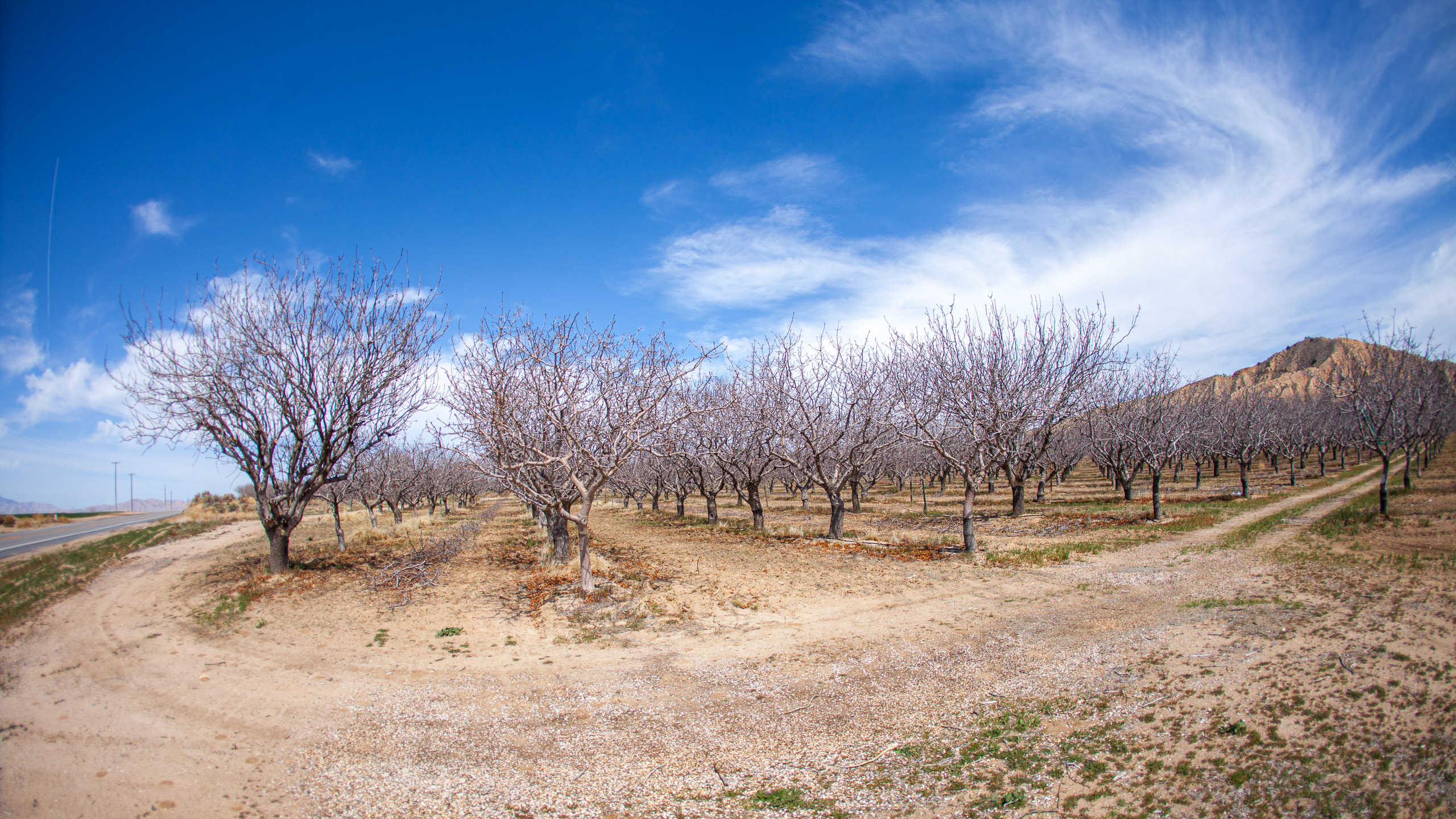 20120329140028 IMG 8436