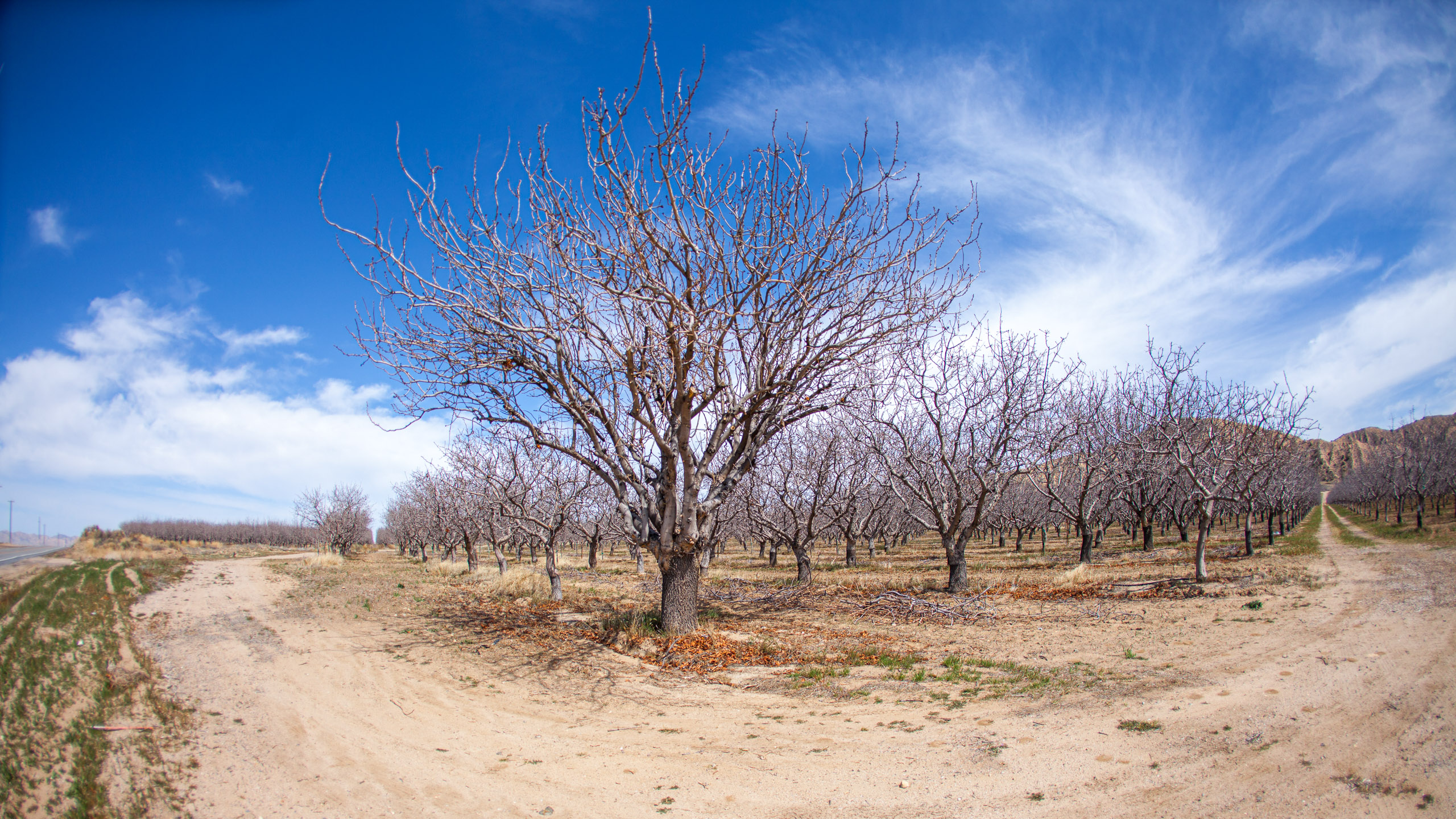 20120329140047 IMG 8437