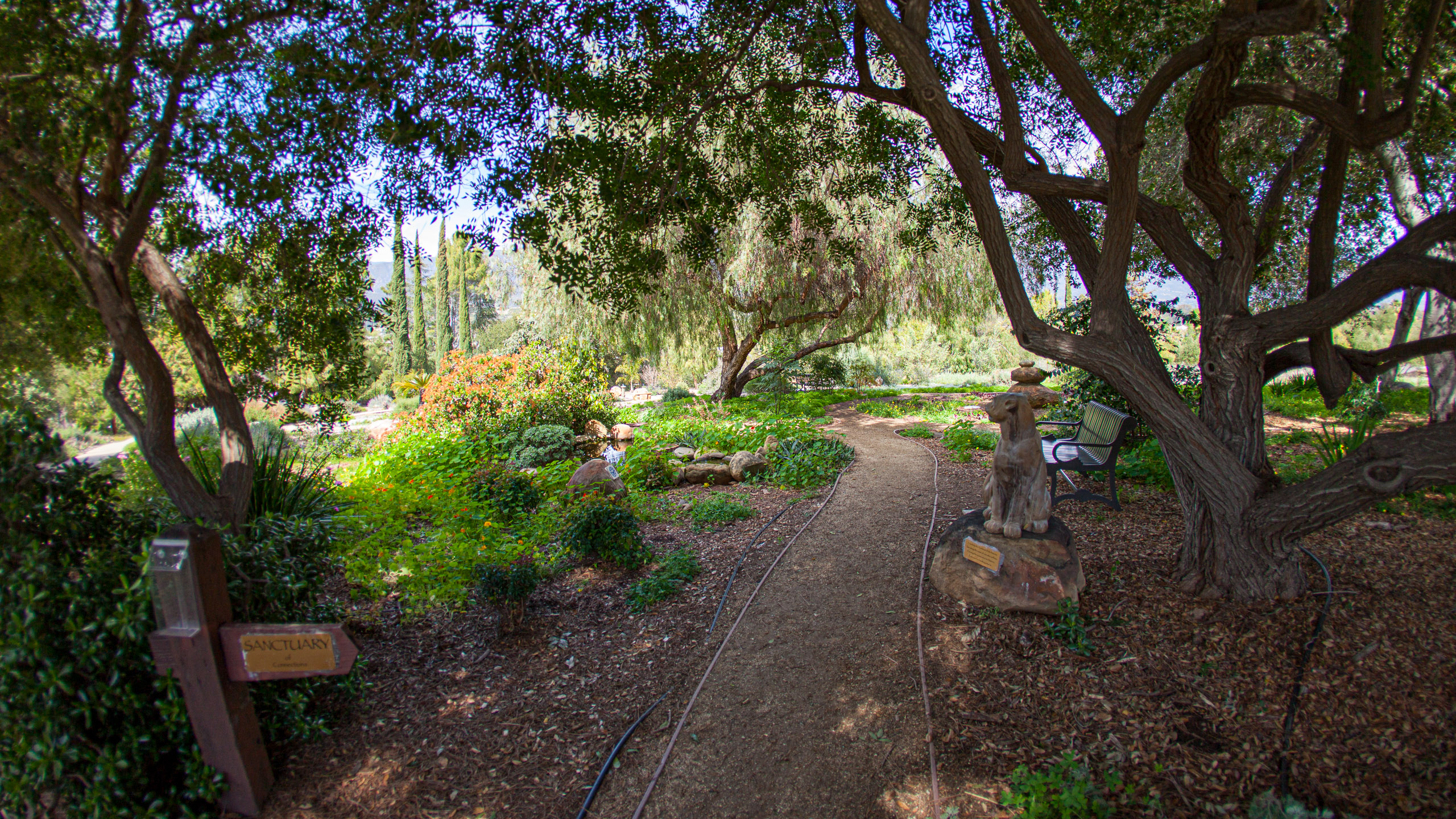 20120329154047 IMG 8561