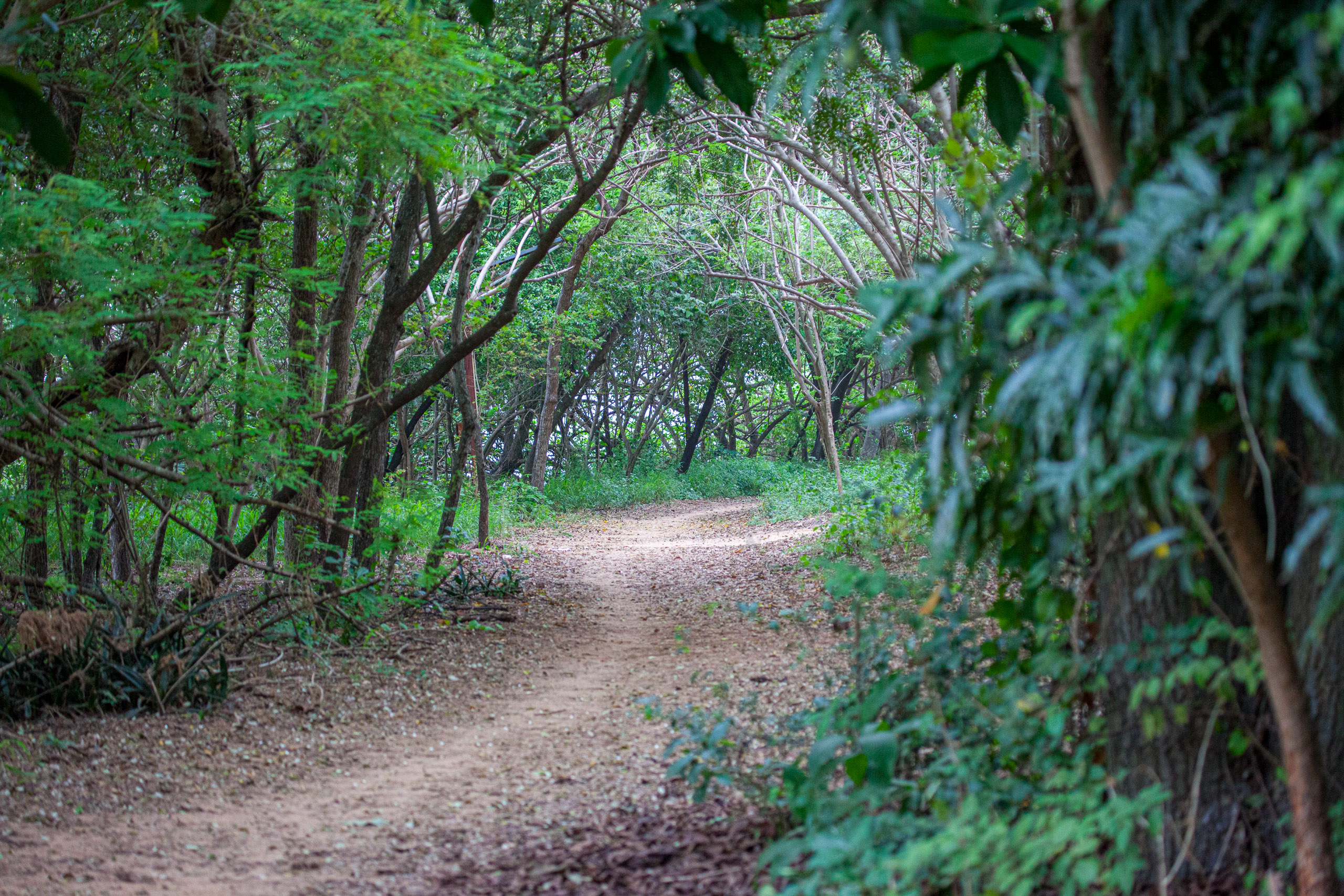 20110102160520 IMG 2895