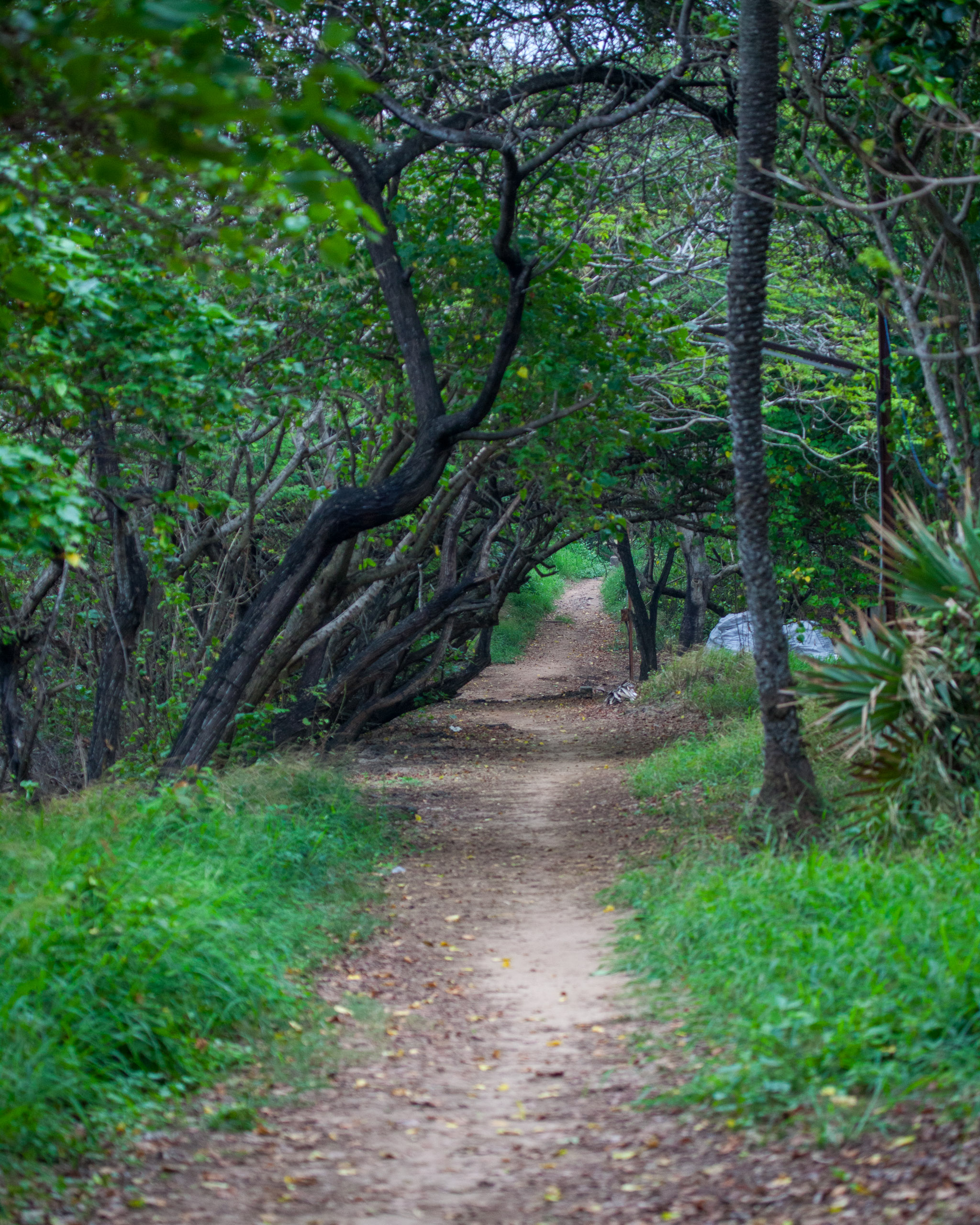 20110102161656 IMG 2933