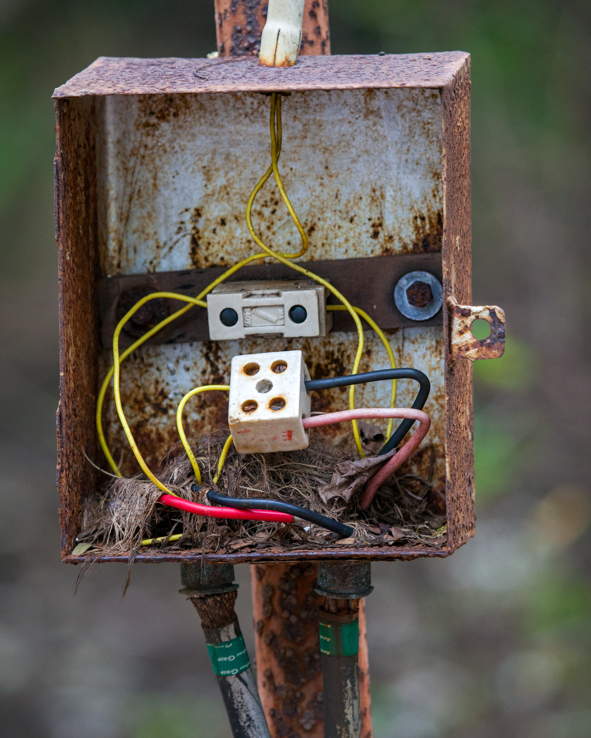 20110102162049 IMG 2946