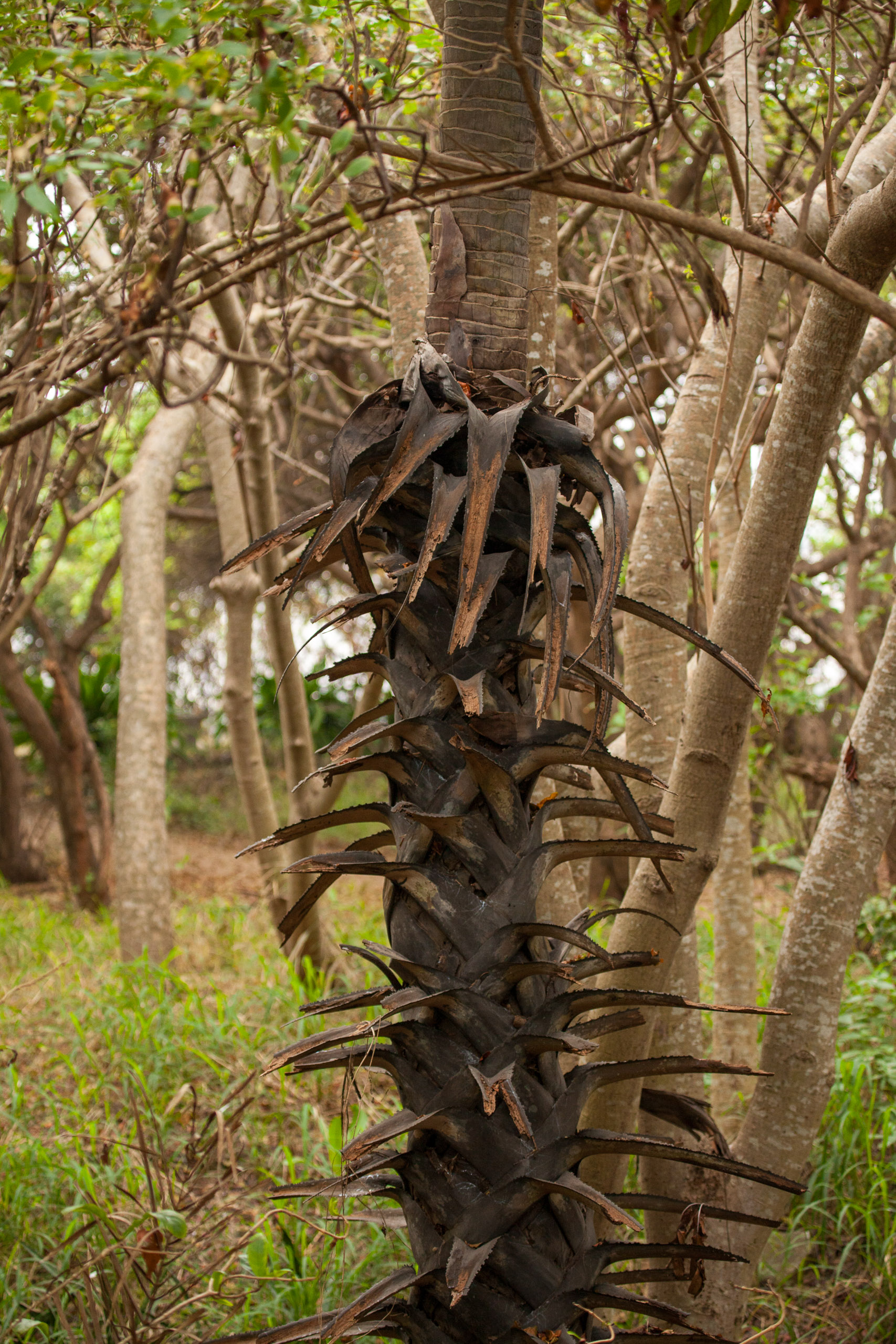 20110102163151 IMG 2974