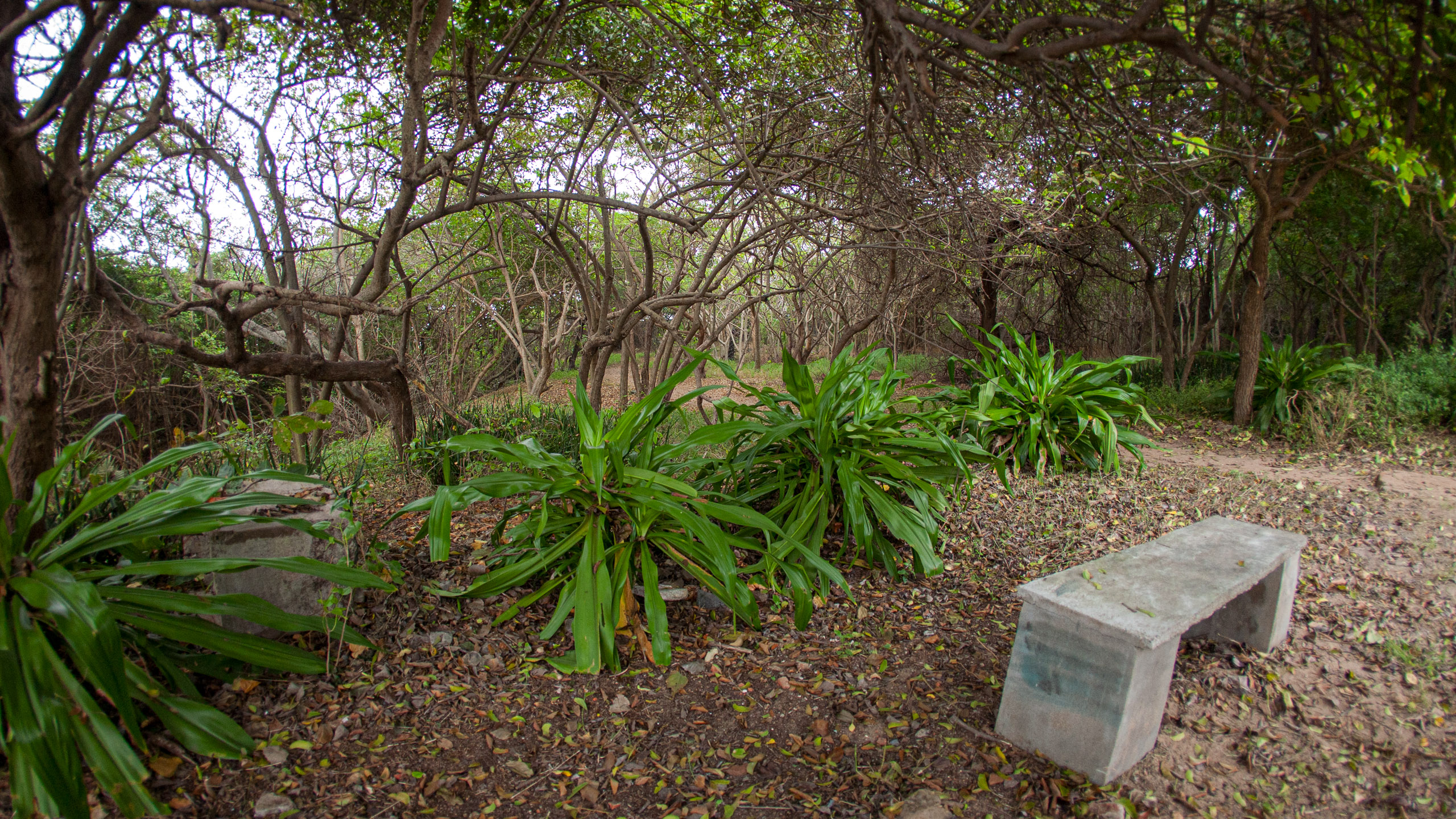 20110102171415 IMG 0457