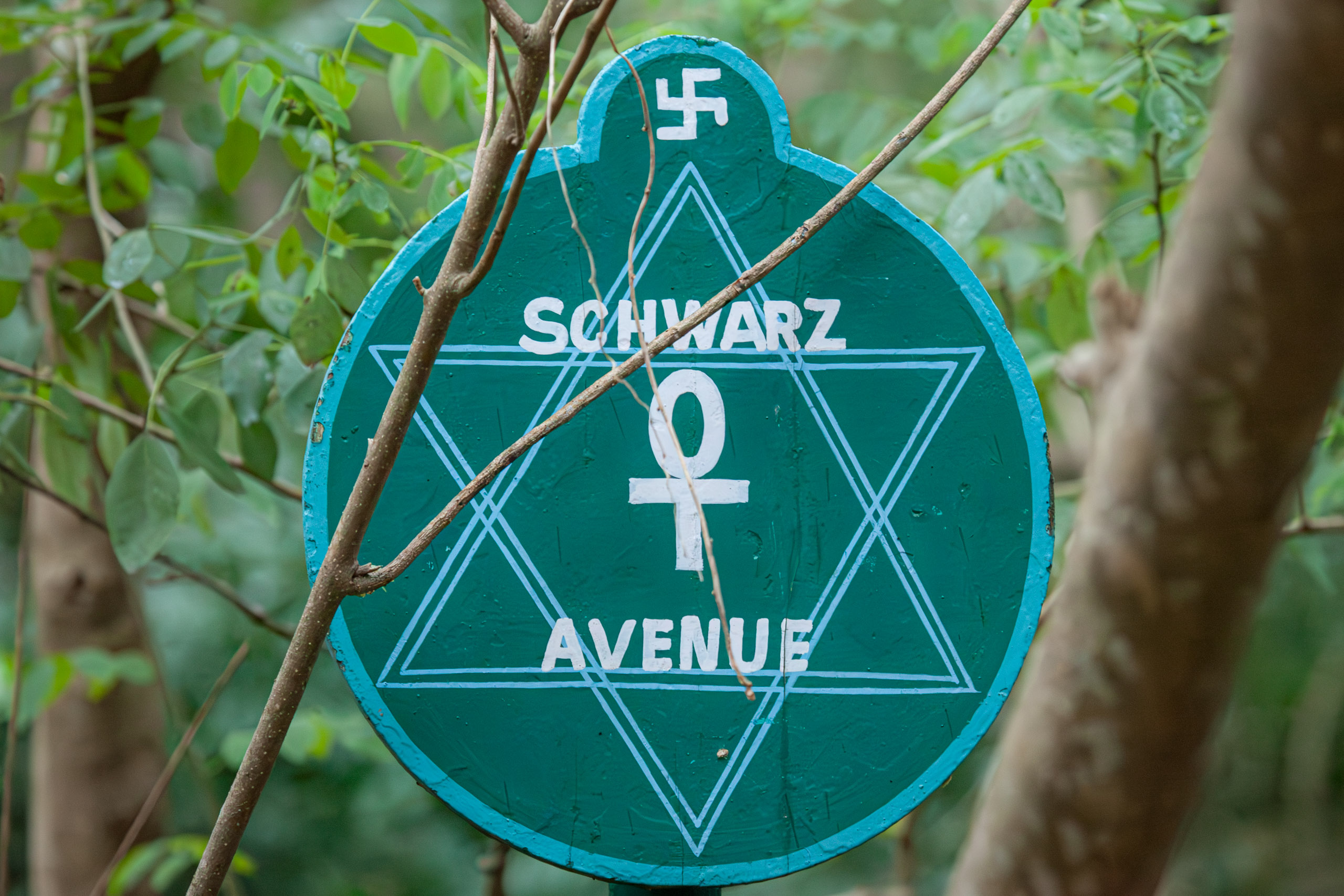 20110102173626 IMG 3135