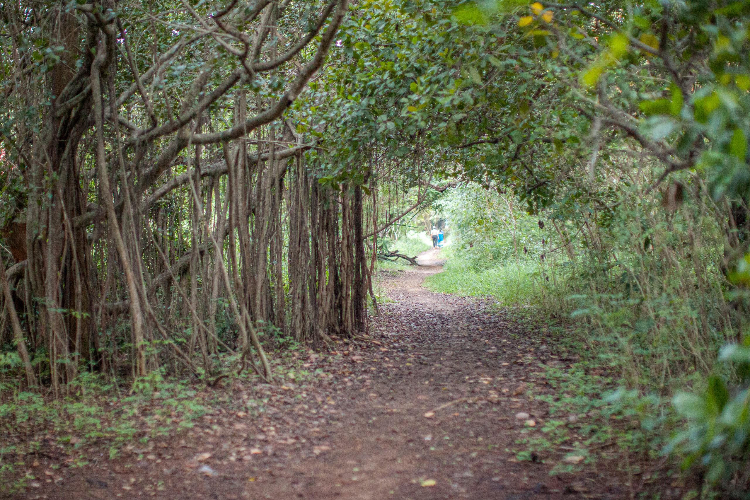 20110103062405 IMG 3207