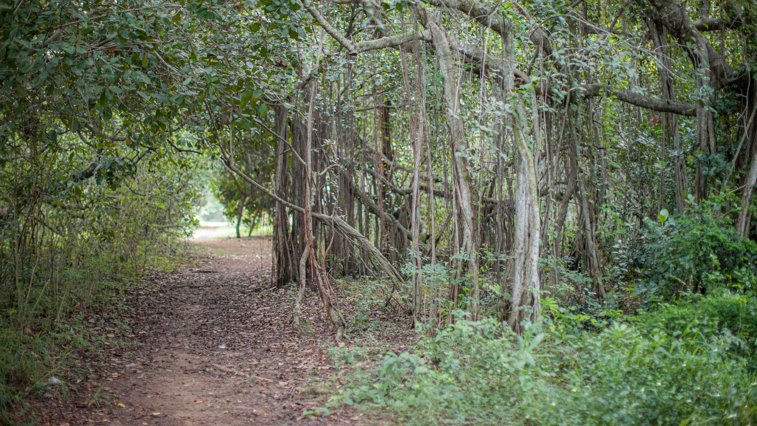 20110103062510 IMG 3211