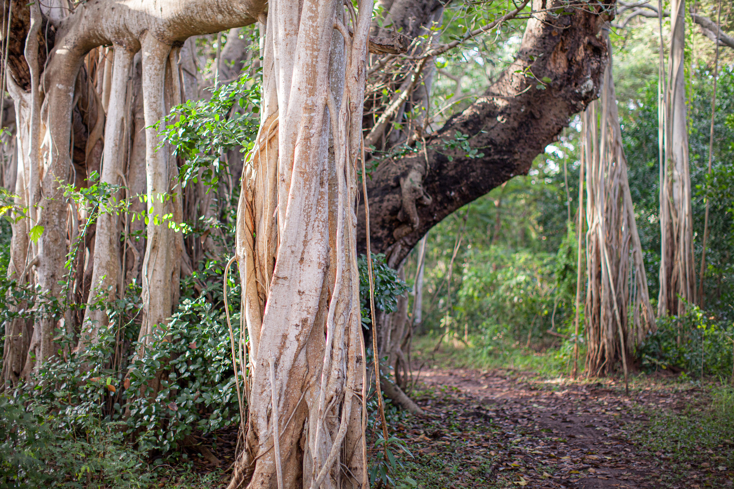 20110103075844 IMG 3485