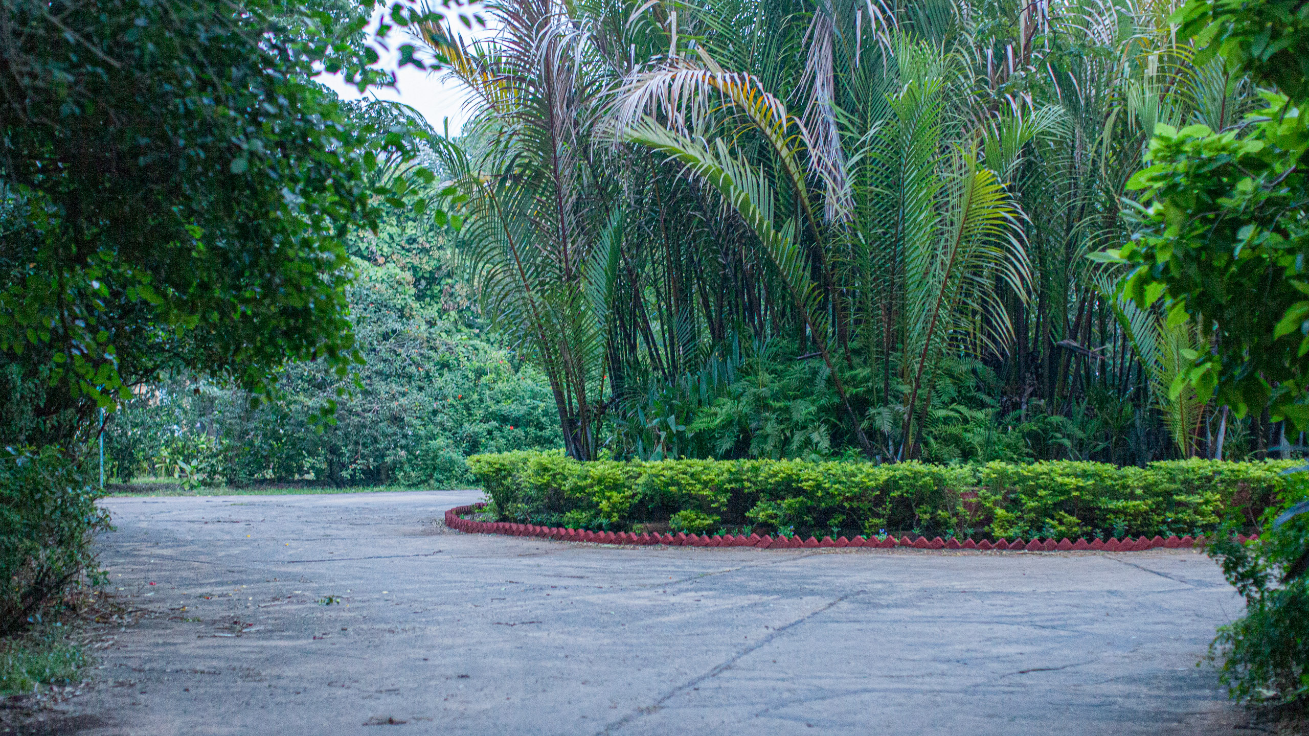 20110104062042 IMG 4147