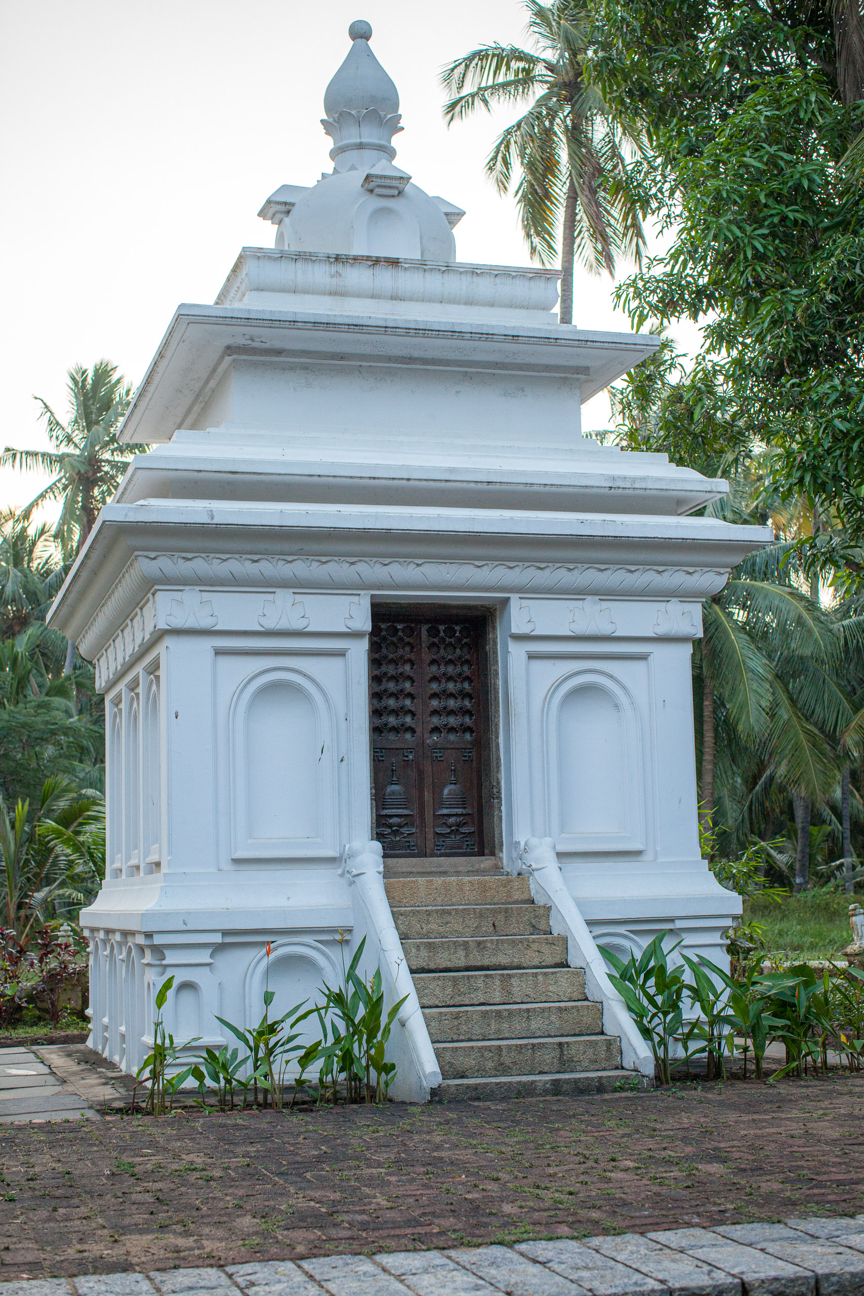 20110103065350 IMG 3266