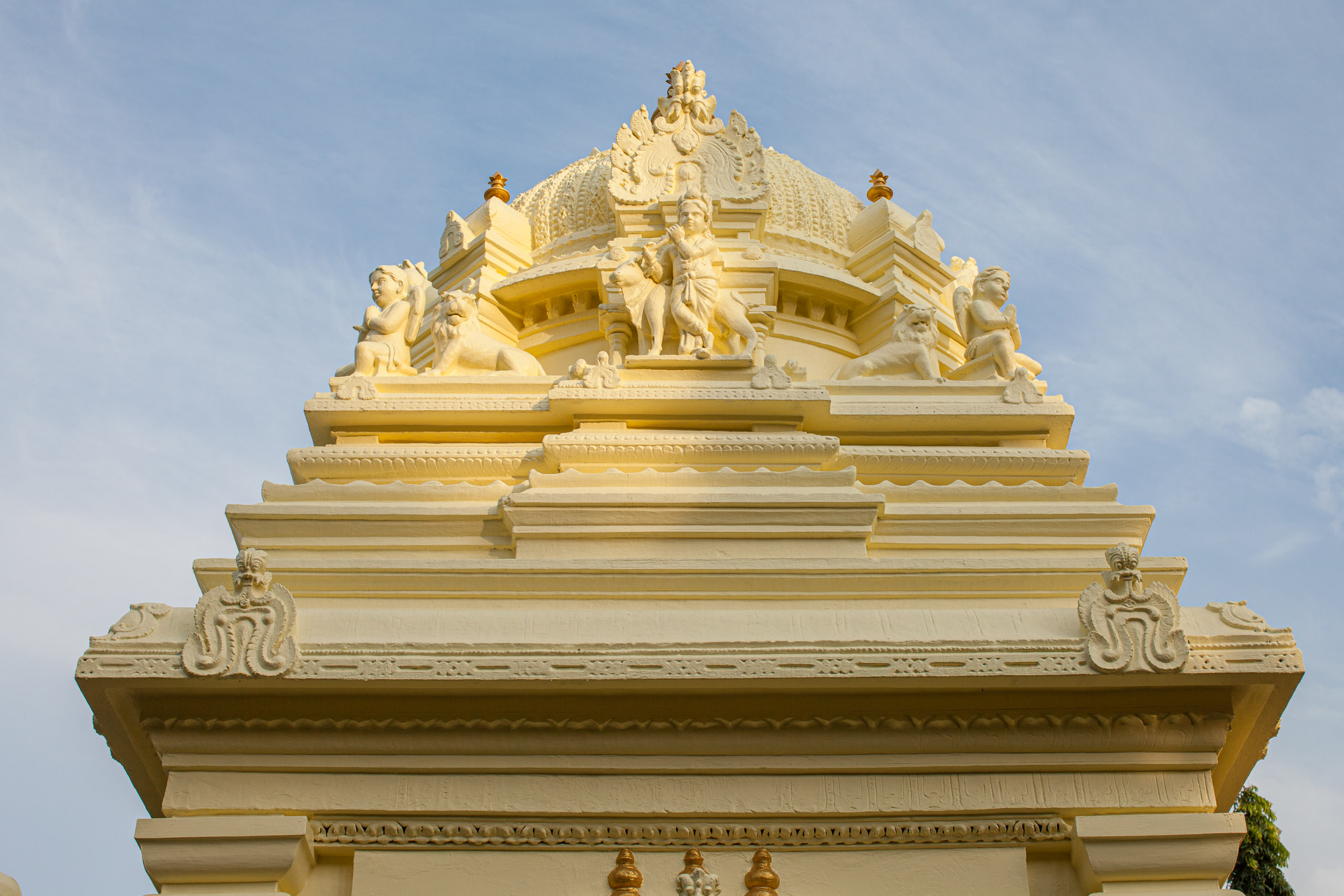 20110103165804 IMG 4049