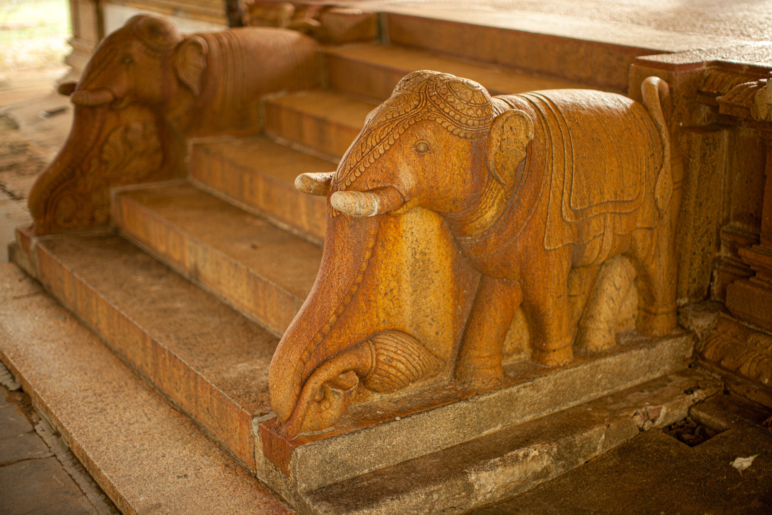 20110103170240 IMG 4070