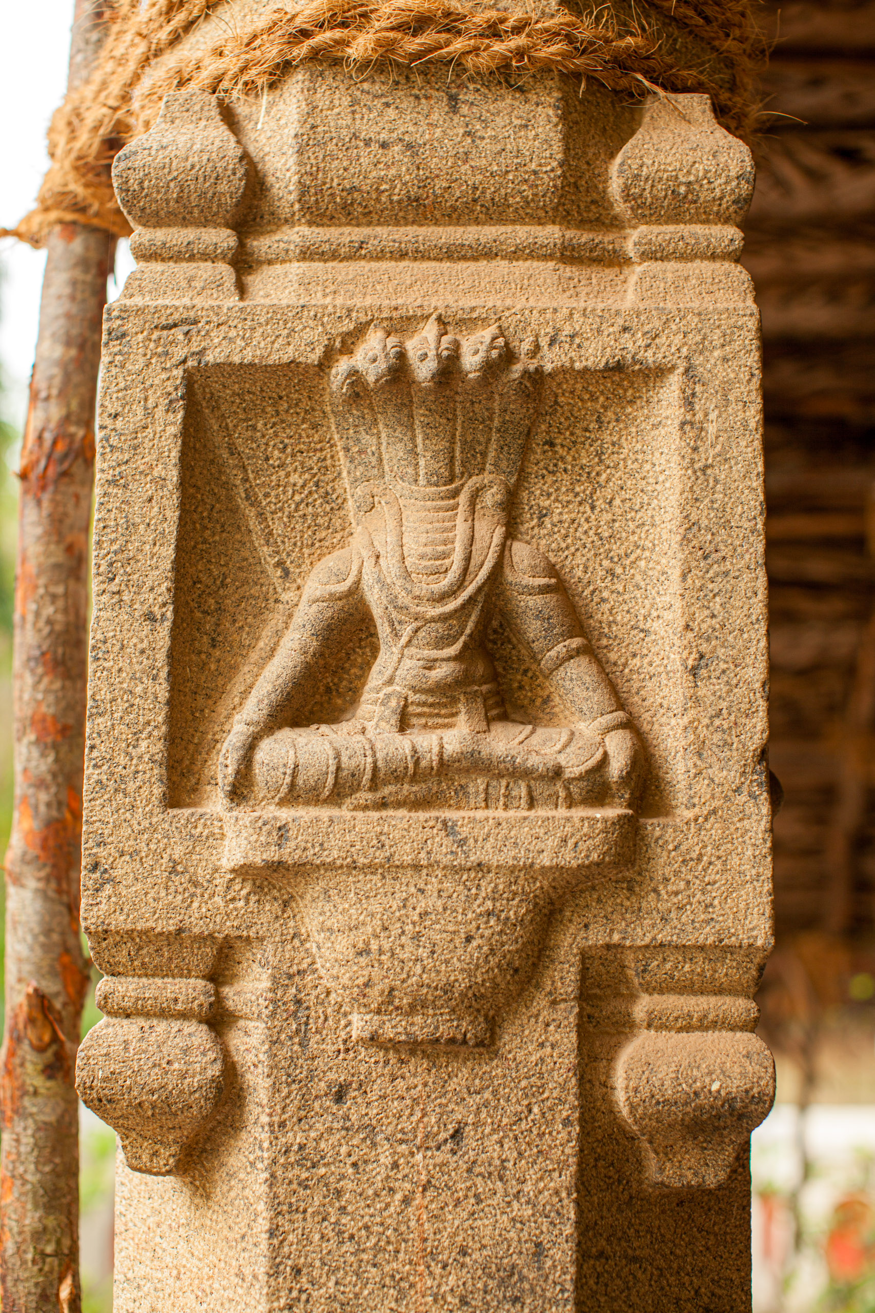 20110103171026 IMG 4097